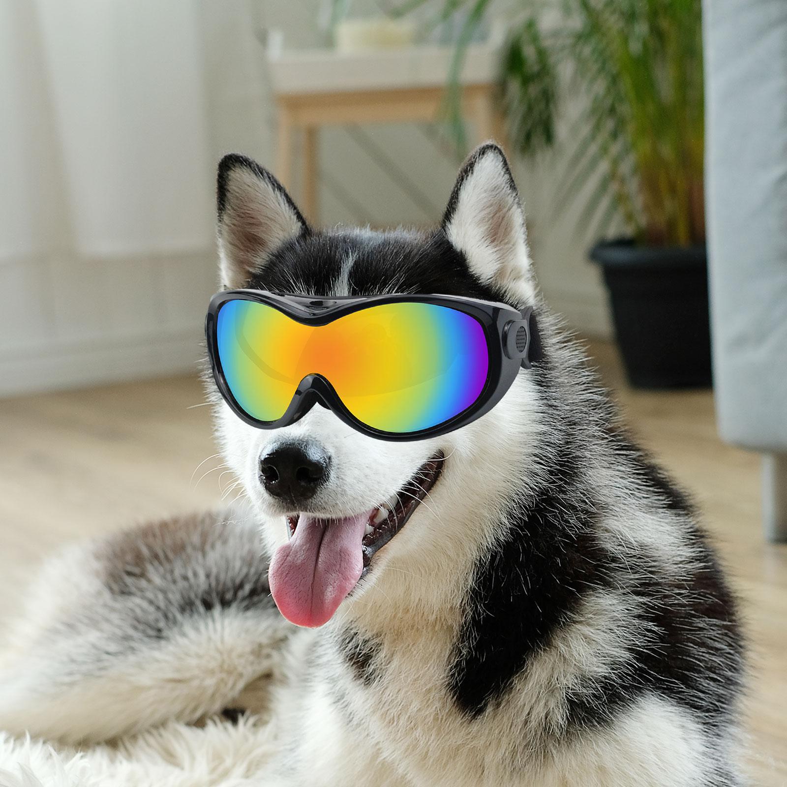 Pet Eyewear Dog Sunglasses for Dust Protection Sun Protection Eye Protection black