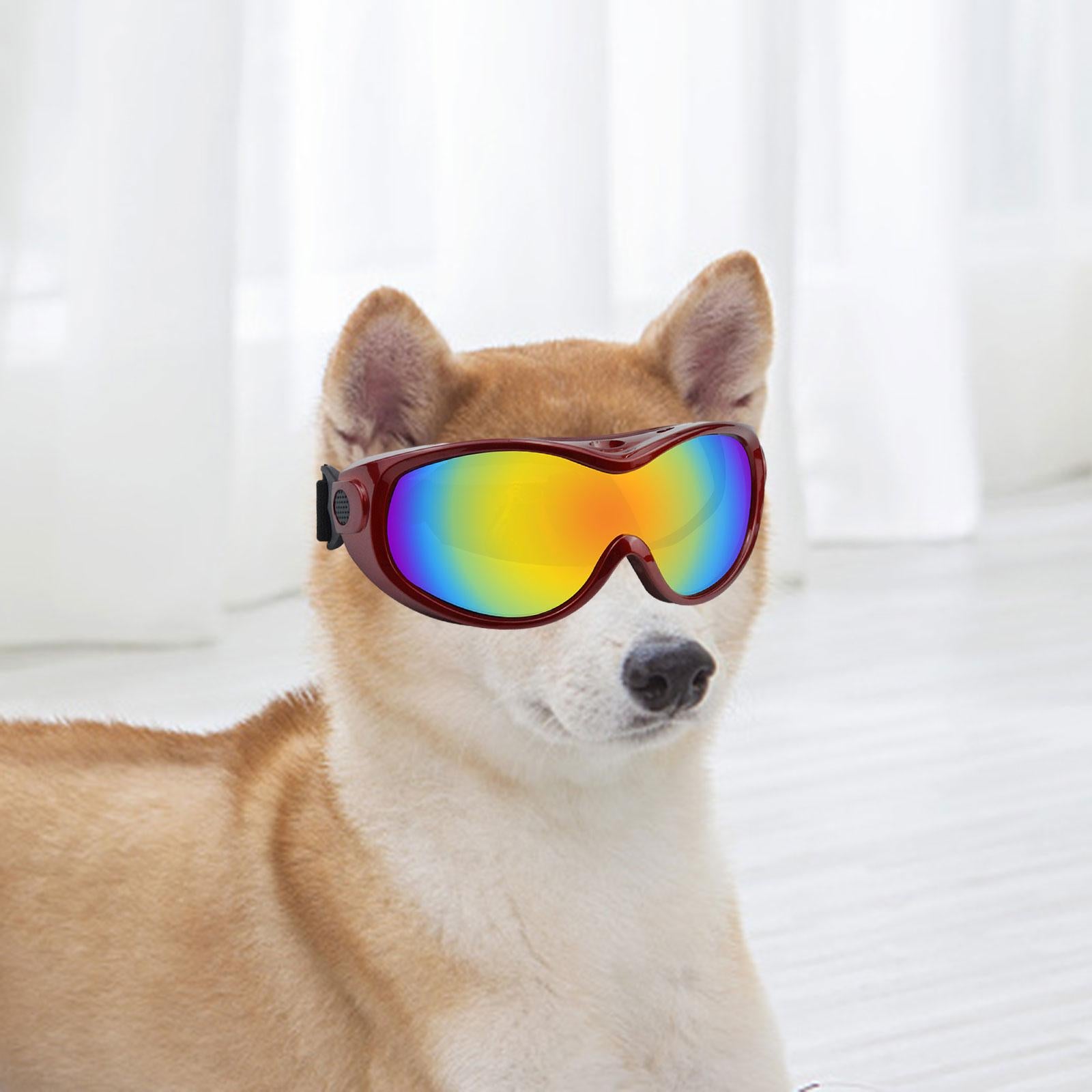 Pet Eyewear Dog Sunglasses for Dust Protection Sun Protection Eye Protection red