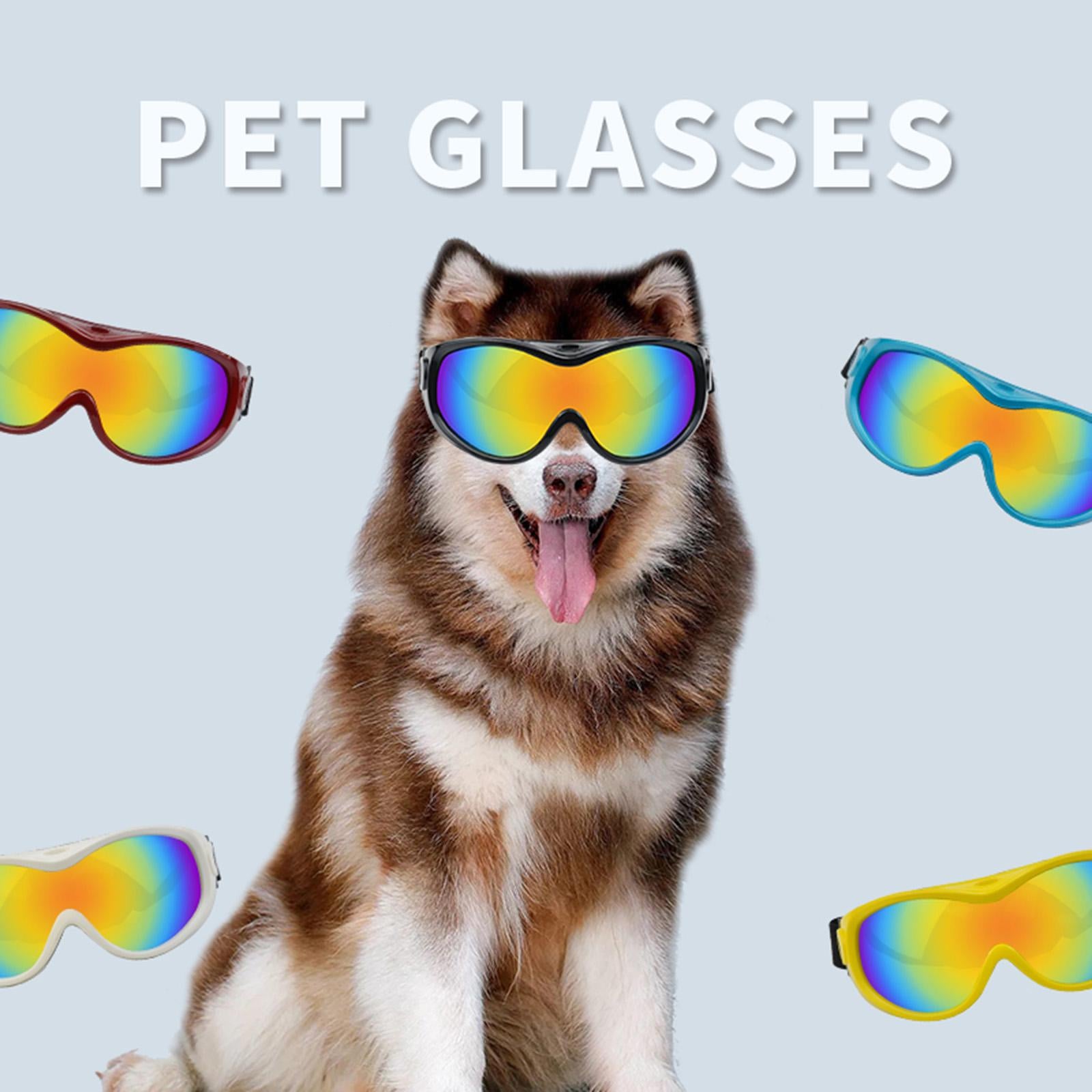 Pet Eyewear Dog Sunglasses for Dust Protection Sun Protection Eye Protection blue