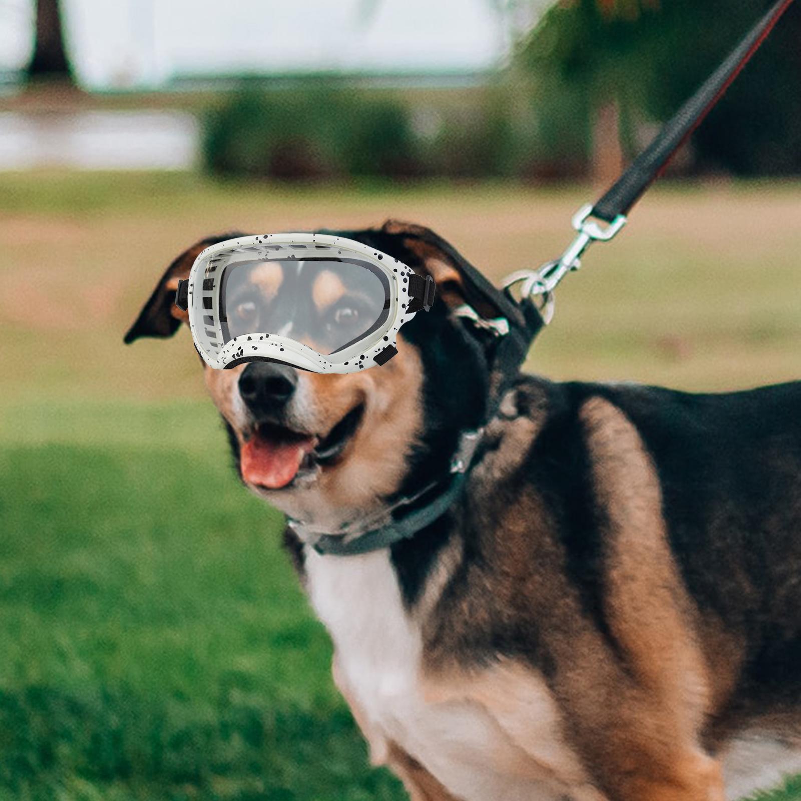 Dog Goggles Dog Sunglasses for Eye Protection Dust Protection Sun Protection Style B