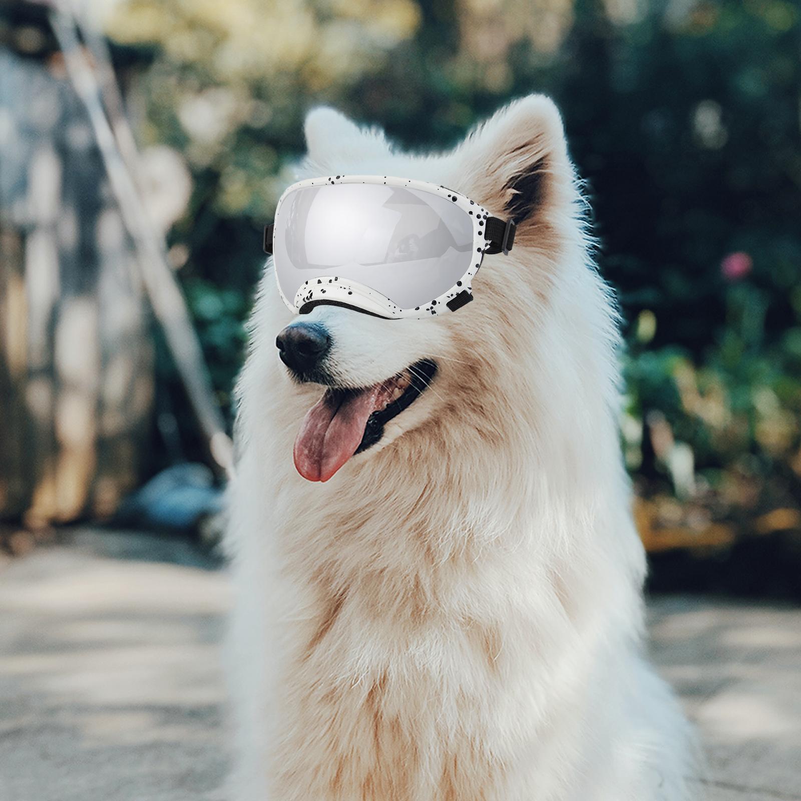Dog Goggles Dog Sunglasses for Eye Protection Dust Protection Sun Protection Style C