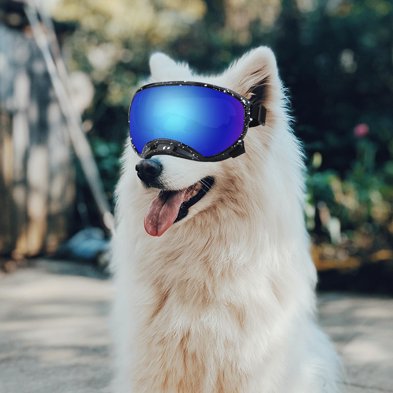 Dog Goggles Dog Sunglasses for Eye Protection Dust Protection Sun Protection Style D