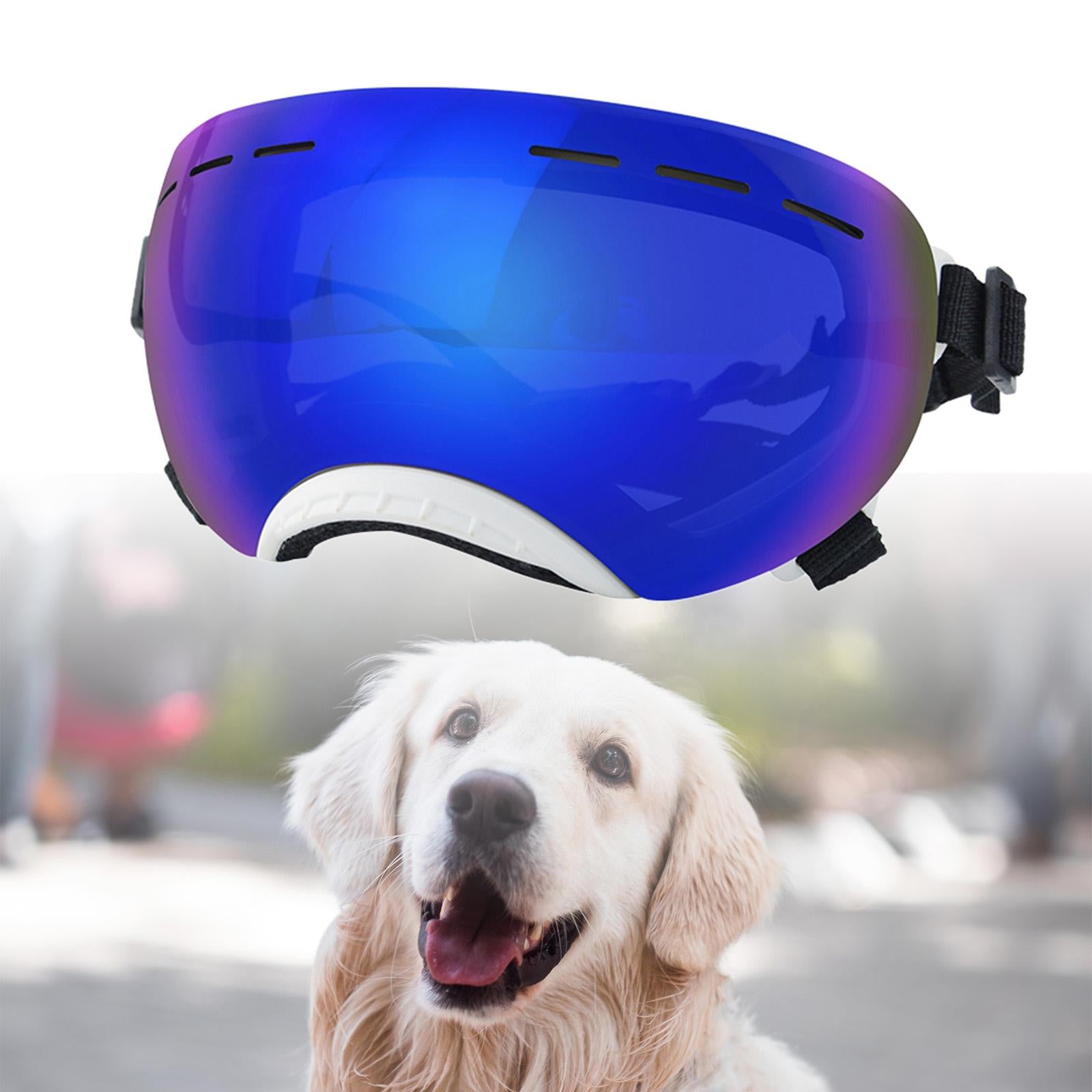 Dog Sunglasses Dustproof Photos Props Riding Pet Glasses Eye Wear Protection White frame B