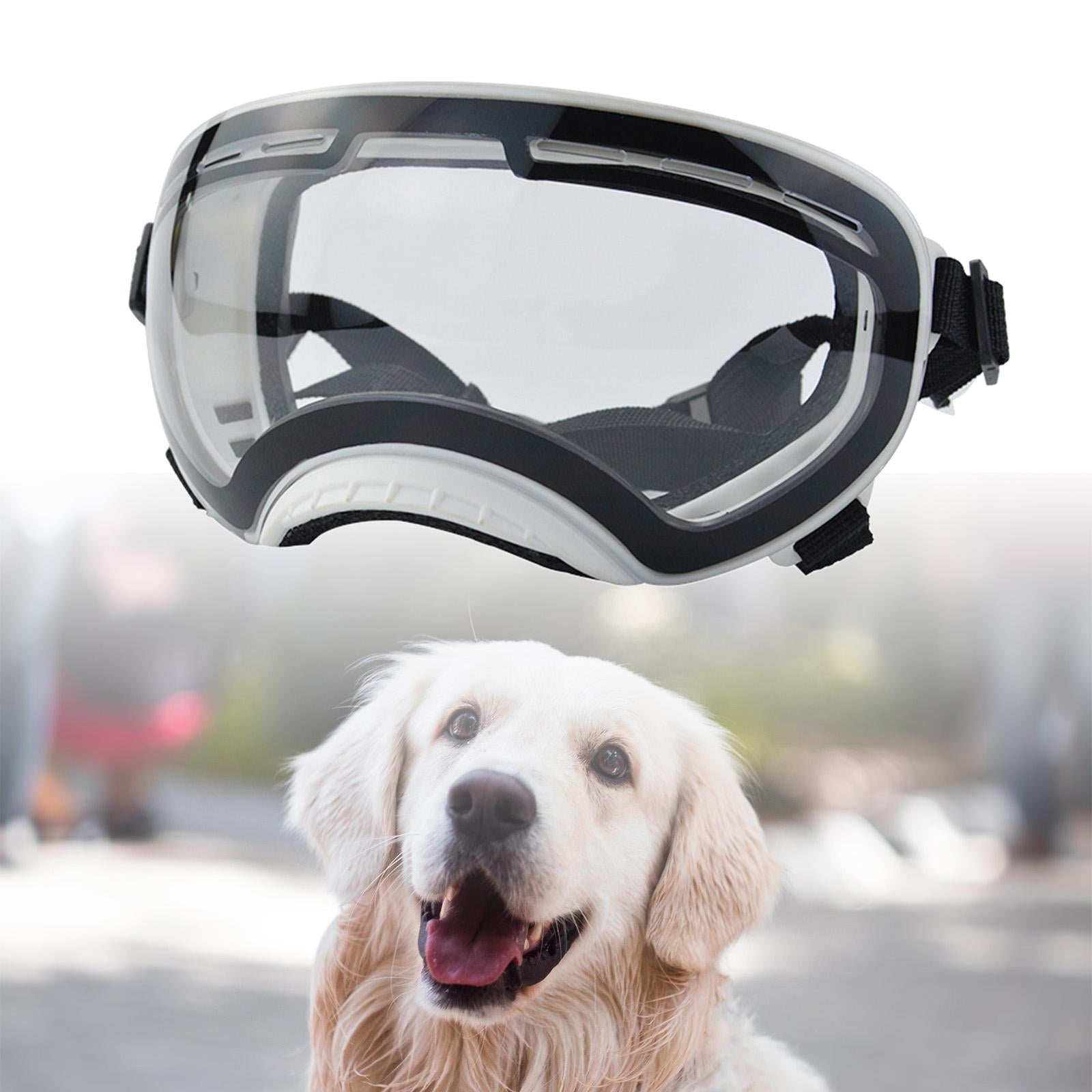 Dog Sunglasses Dustproof Photos Props Riding Pet Glasses Eye Wear Protection White frame C