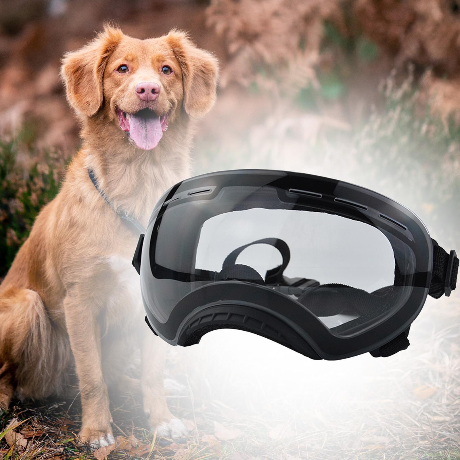 Dog Sunglasses Dustproof Photos Props Riding Pet Glasses Eye Wear Protection Black frame C