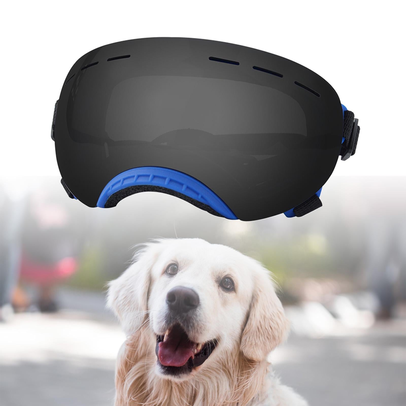 Dog Sunglasses Dustproof Photos Props Riding Pet Glasses Eye Wear Protection Blue frame A