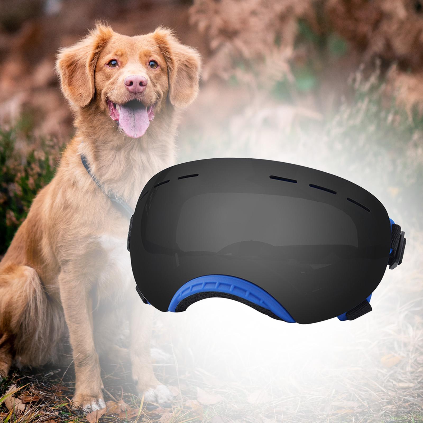 Dog Sunglasses Dustproof Photos Props Riding Pet Glasses Eye Wear Protection Blue frame A