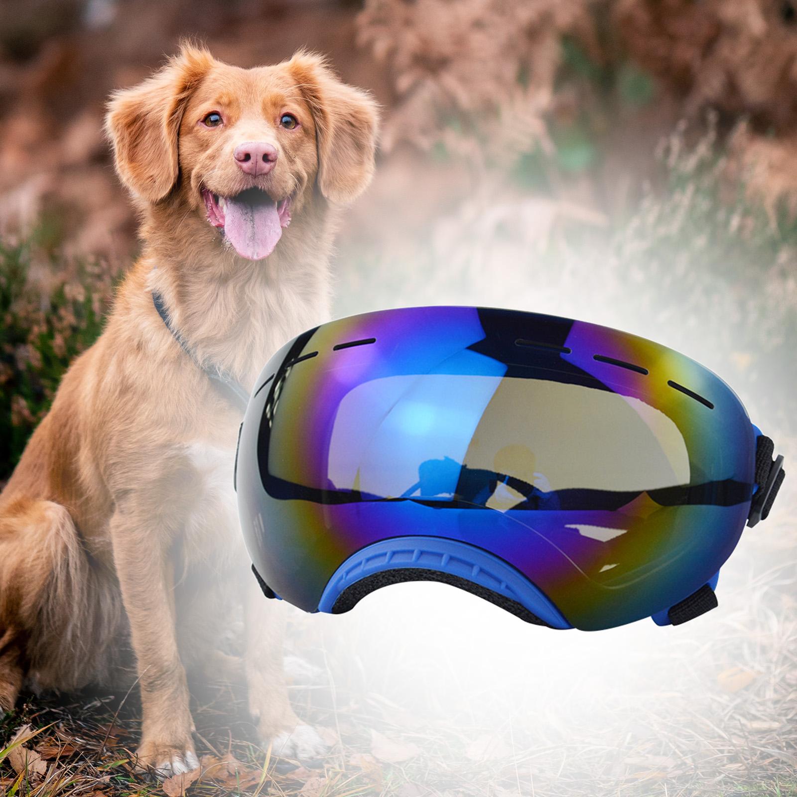 Dog Sunglasses Dustproof Photos Props Riding Pet Glasses Eye Wear Protection Blue frame B