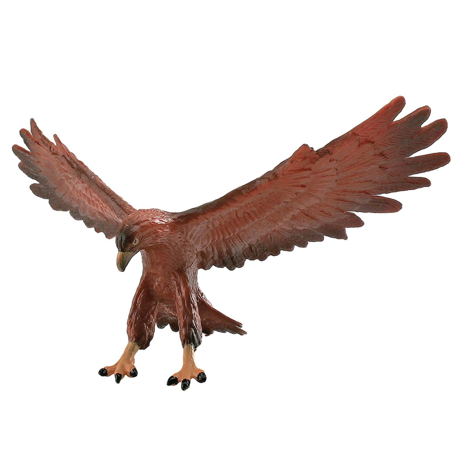 Animal Bird Figure Eagle Educational Collectible for Coffee Table Desk B