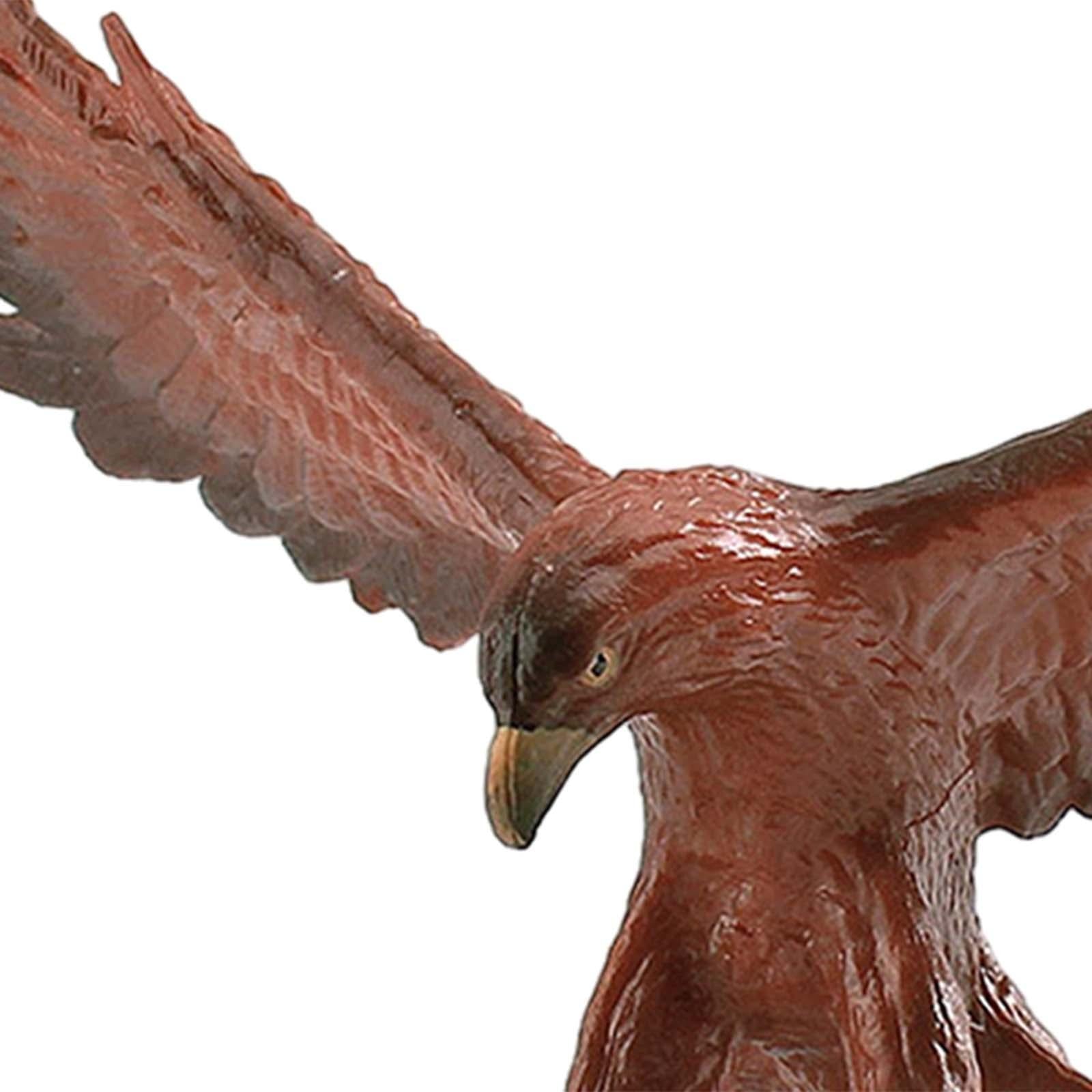 Animal Bird Figure Eagle Educational Collectible for Coffee Table Desk B