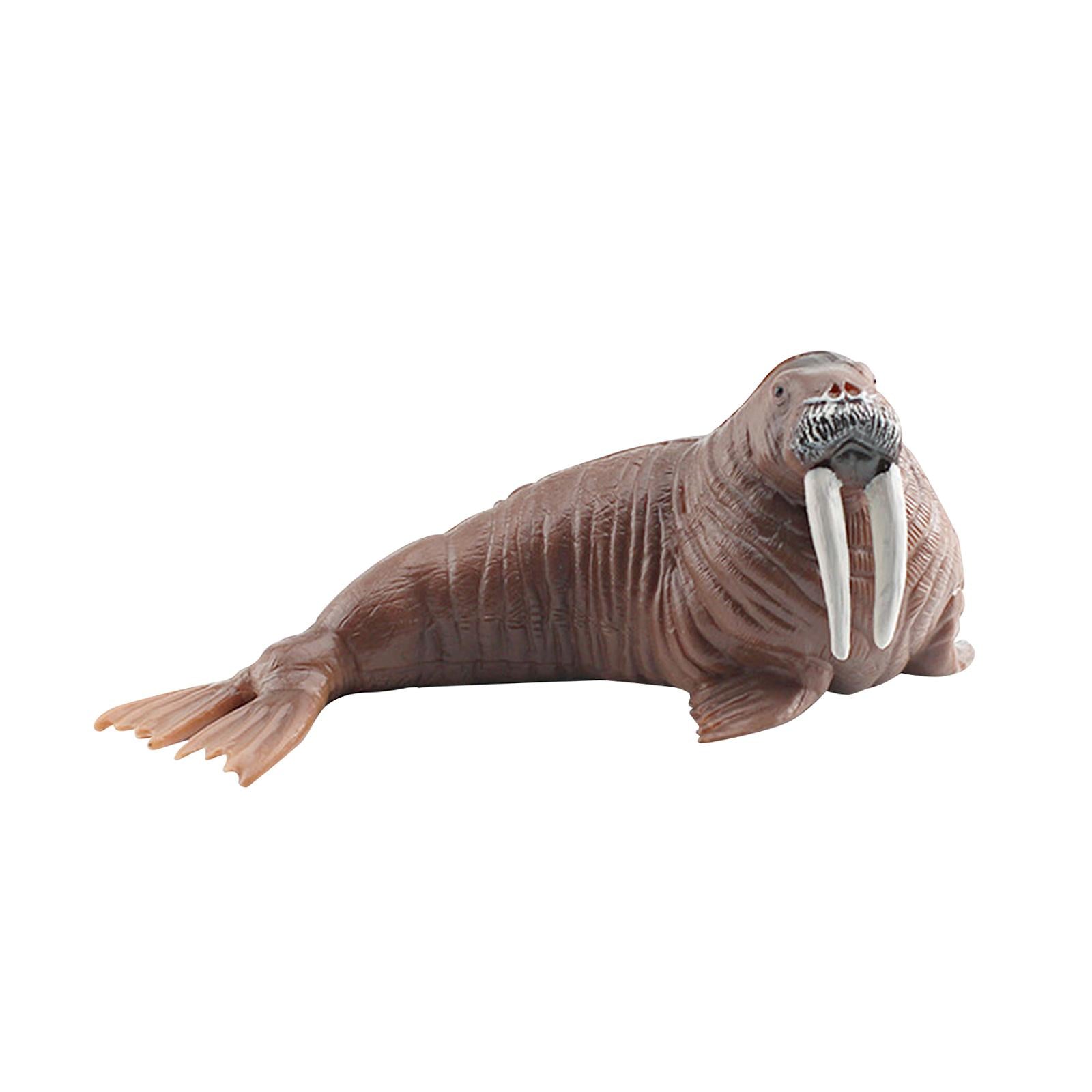 Animal Model Figures Art for Party Favors Educational Toy Classrooms Rewards Walrus