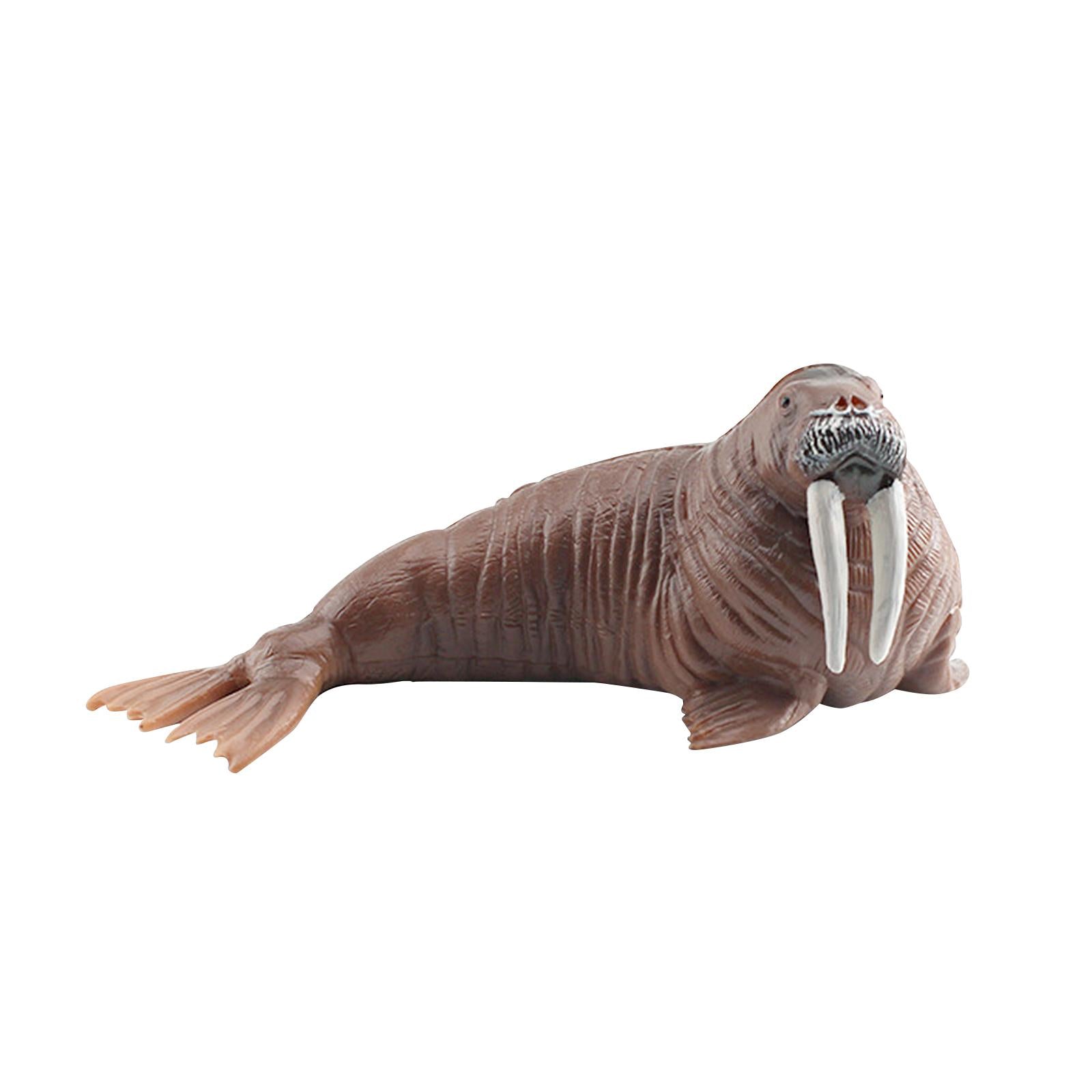 Animal Model Figures Art for Party Favors Educational Toy Classrooms Rewards Walrus