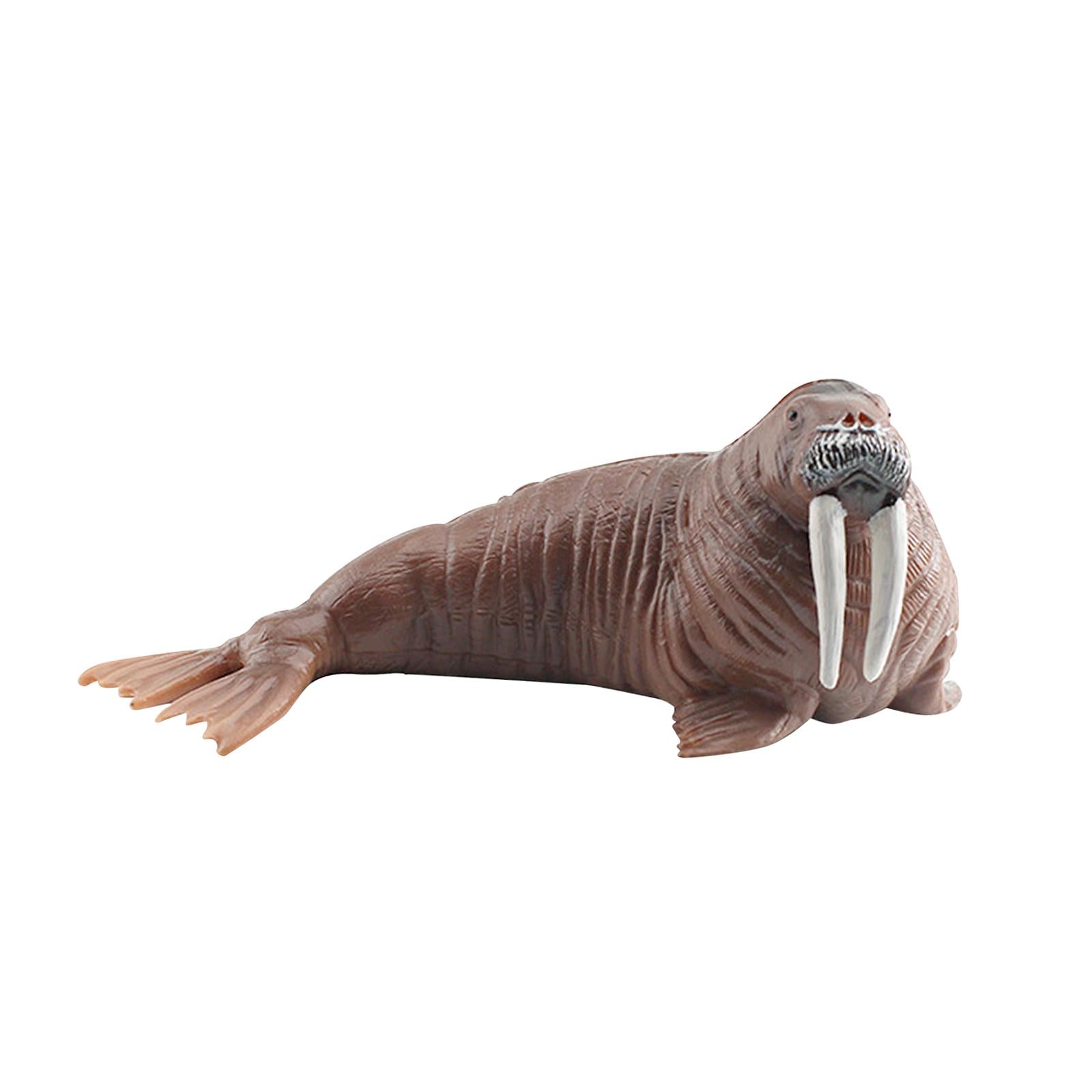 Animal Model Figures Art for Party Favors Educational Toy Classrooms Rewards Walrus
