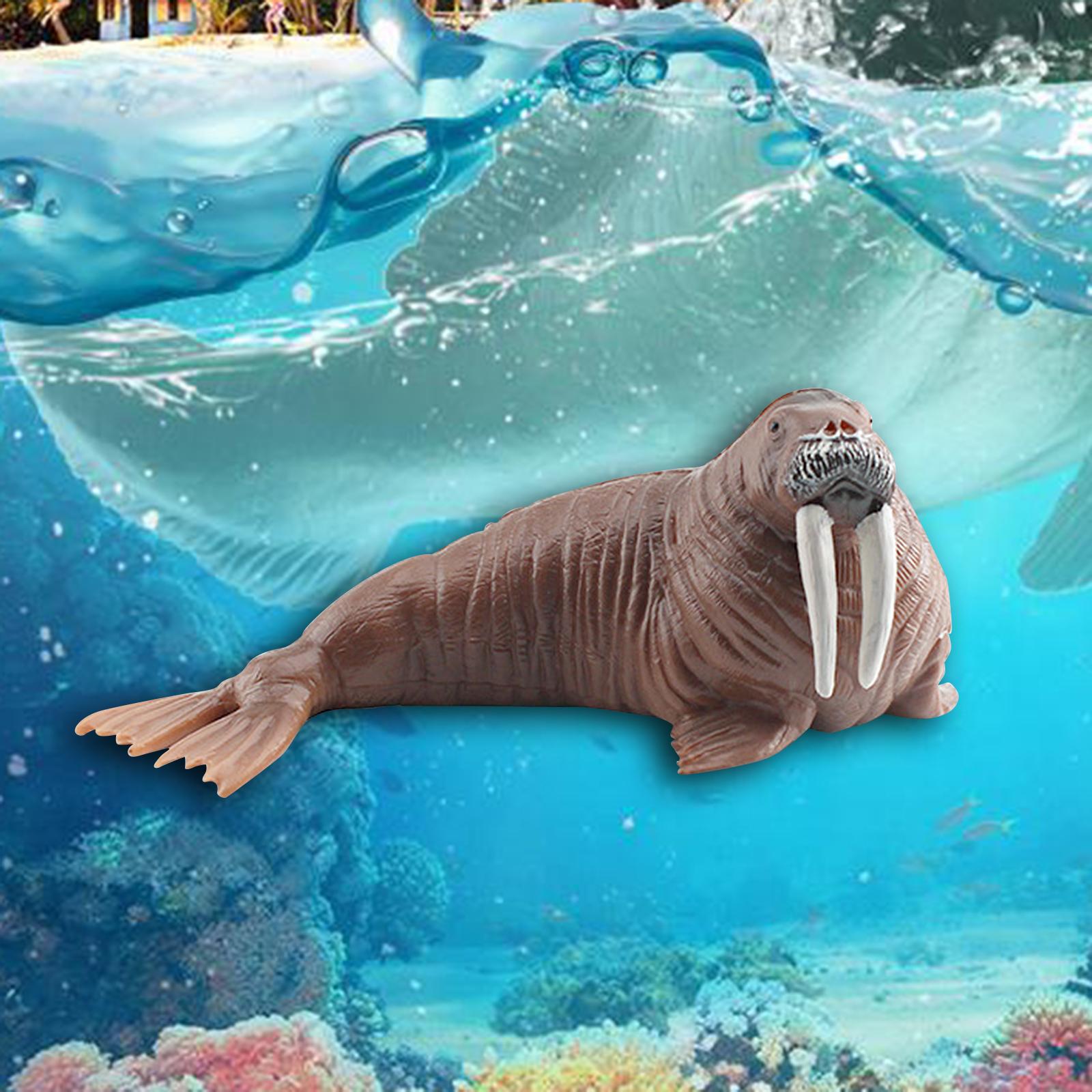 Animal Model Figures Art for Party Favors Educational Toy Classrooms Rewards Walrus