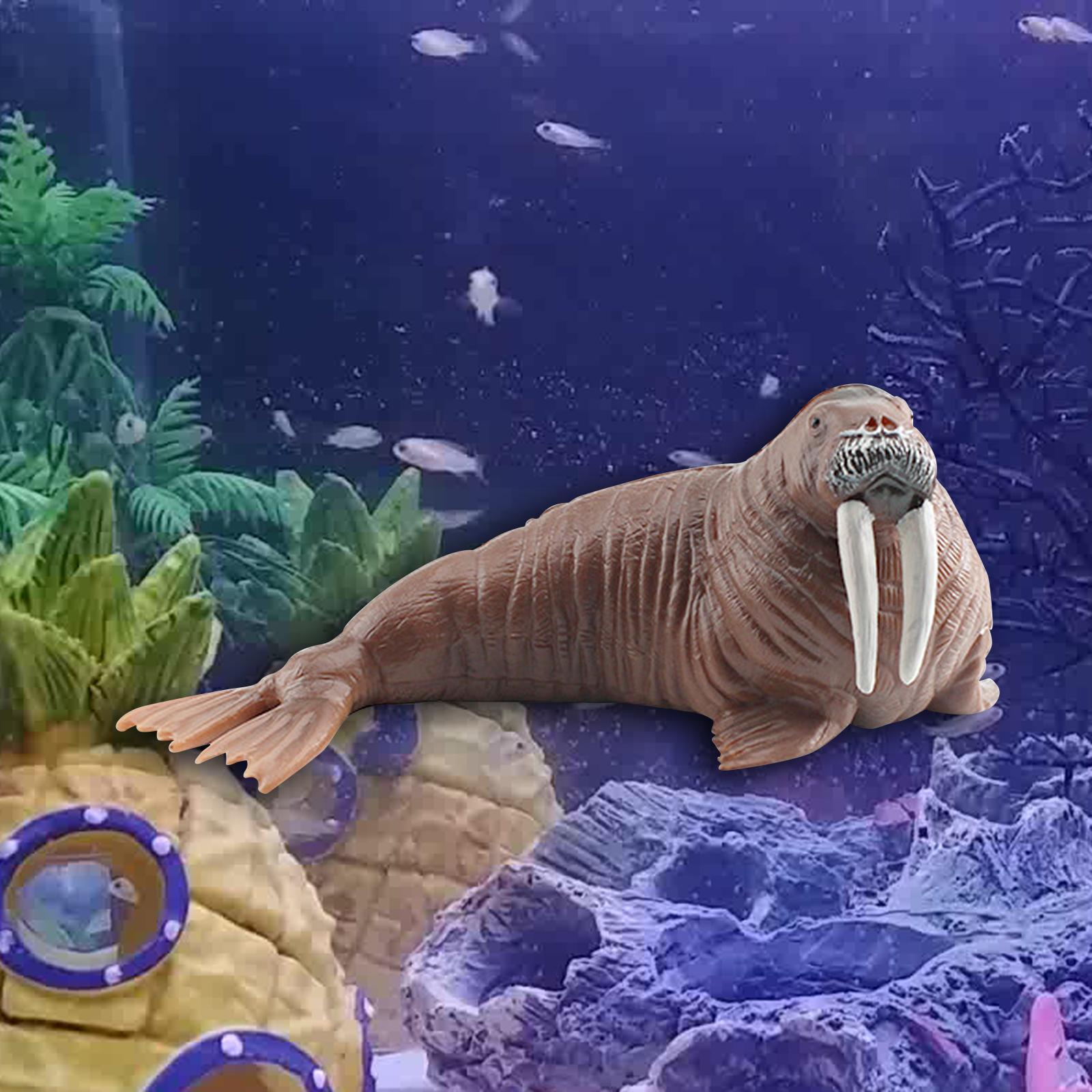 Animal Model Figures Art for Party Favors Educational Toy Classrooms Rewards Walrus