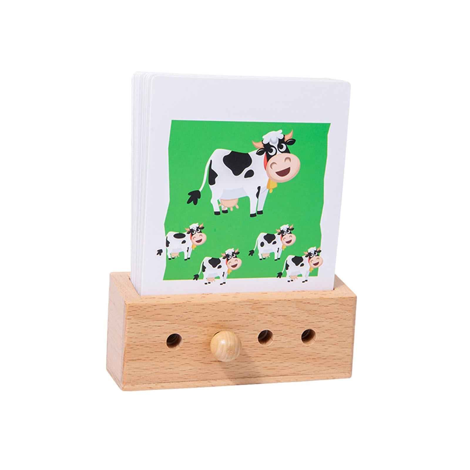 Flash Cards Match Toys Memory Training Preschool Activity for Kids Preschool