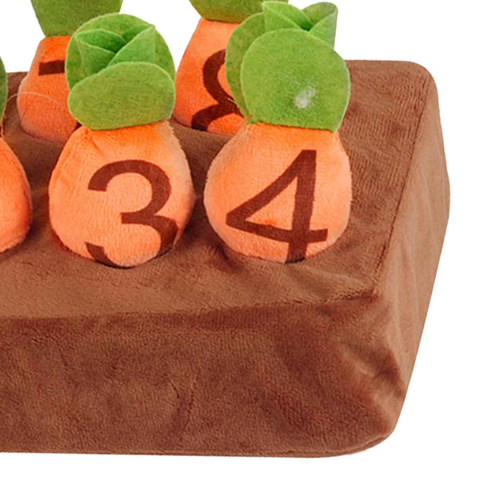 Carrot Plush Stuffed Toy Radishes Carrot Plush Toy for Subtraction Preschool