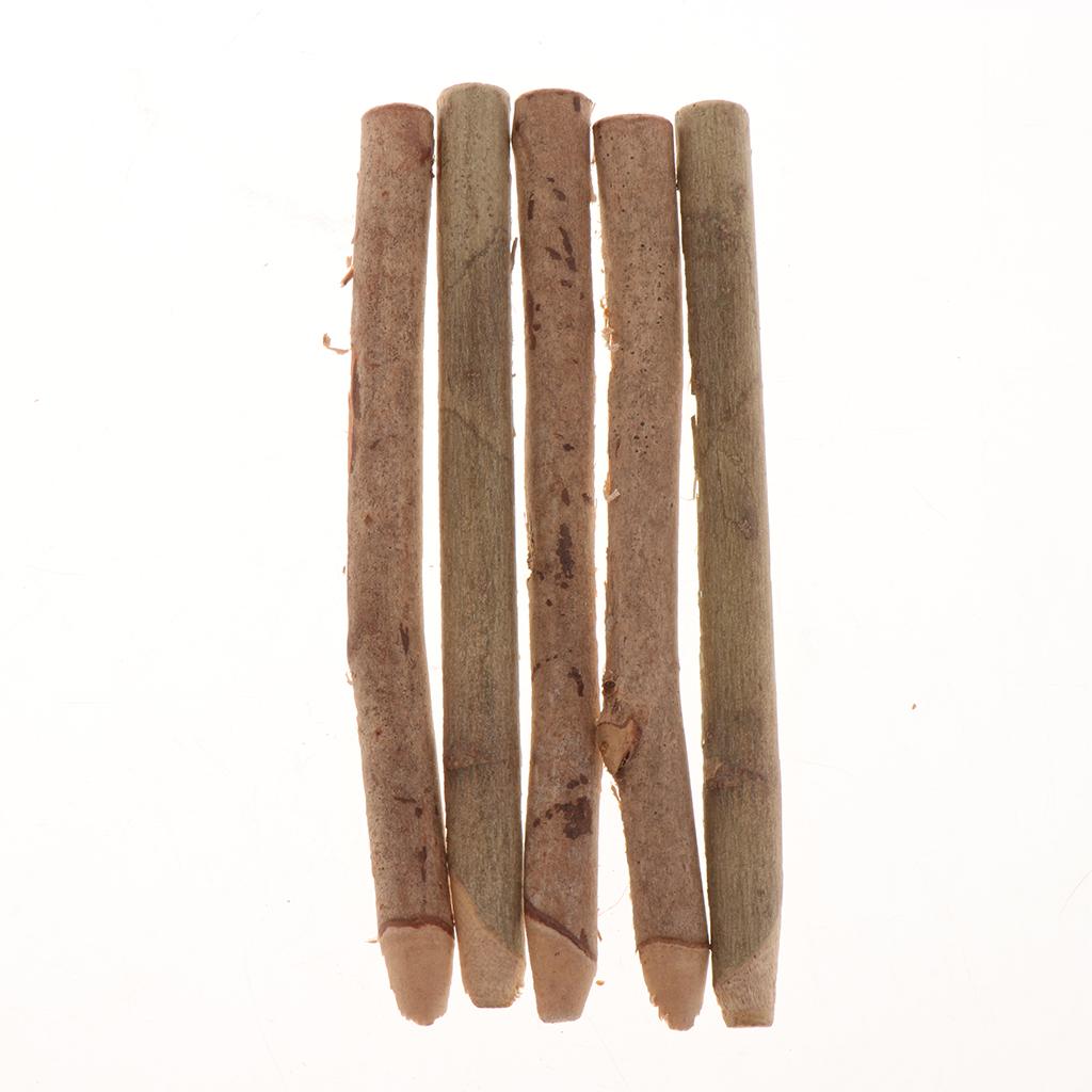 2x10 Pieces Natural Unfinished Wood Sticks Dowel Rods for Crafting DIY Hobbies