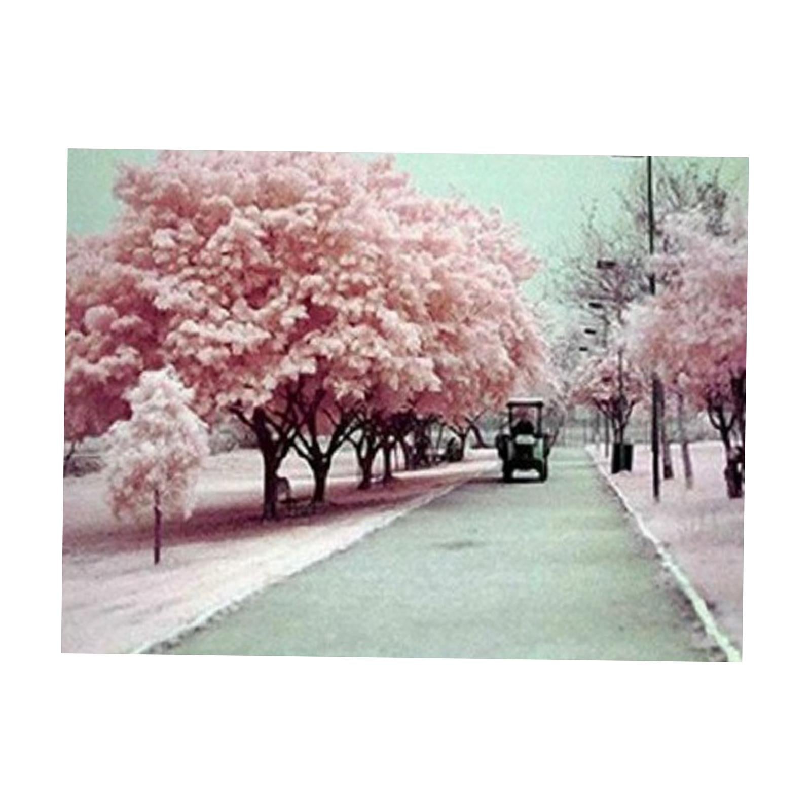 Diamond Painting Kit Crystal Embroidery Crafts Art for Adults Kids 40x50cm