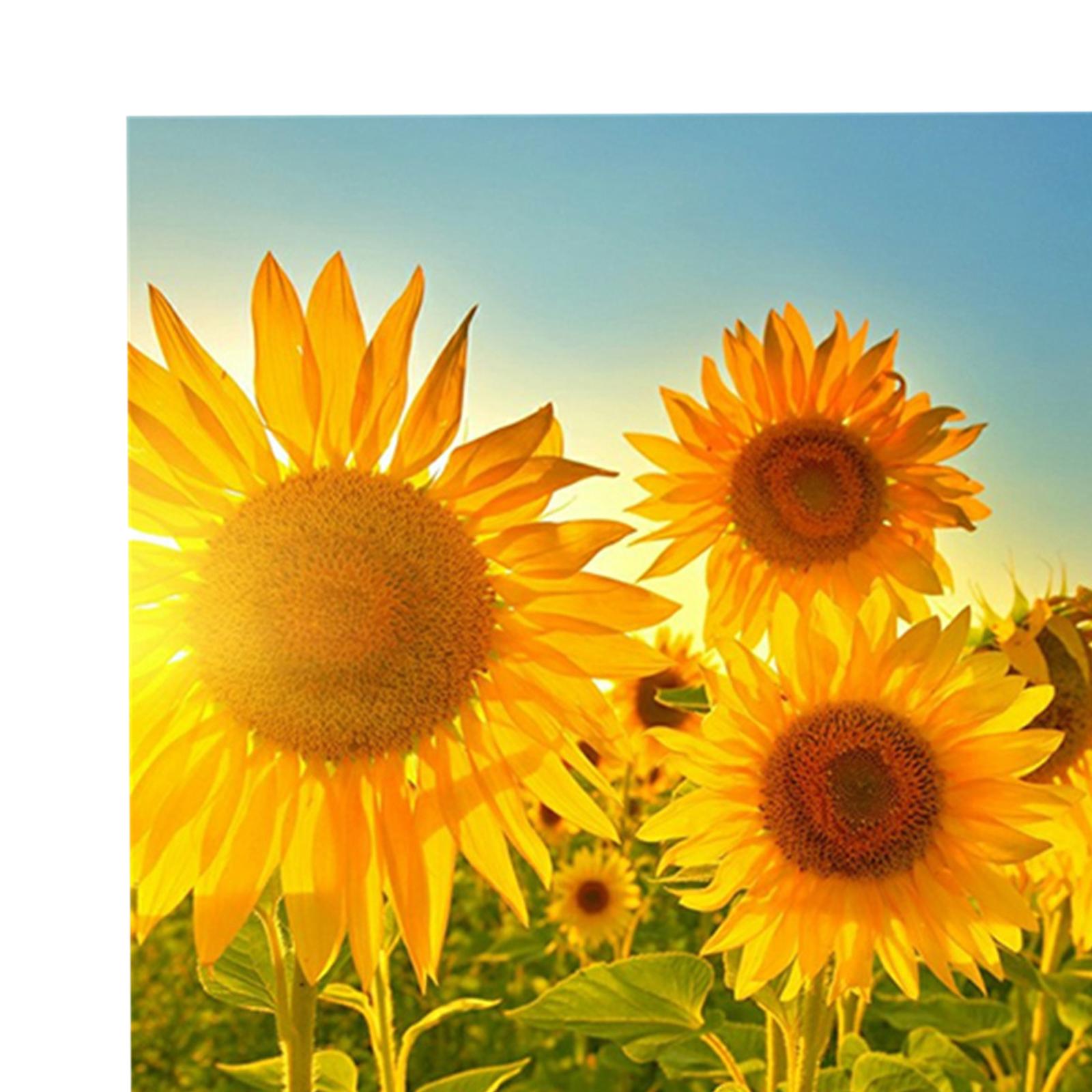DIY Diamond Painting by Number Kit Full Drill Round Rhinestone Sunflower A