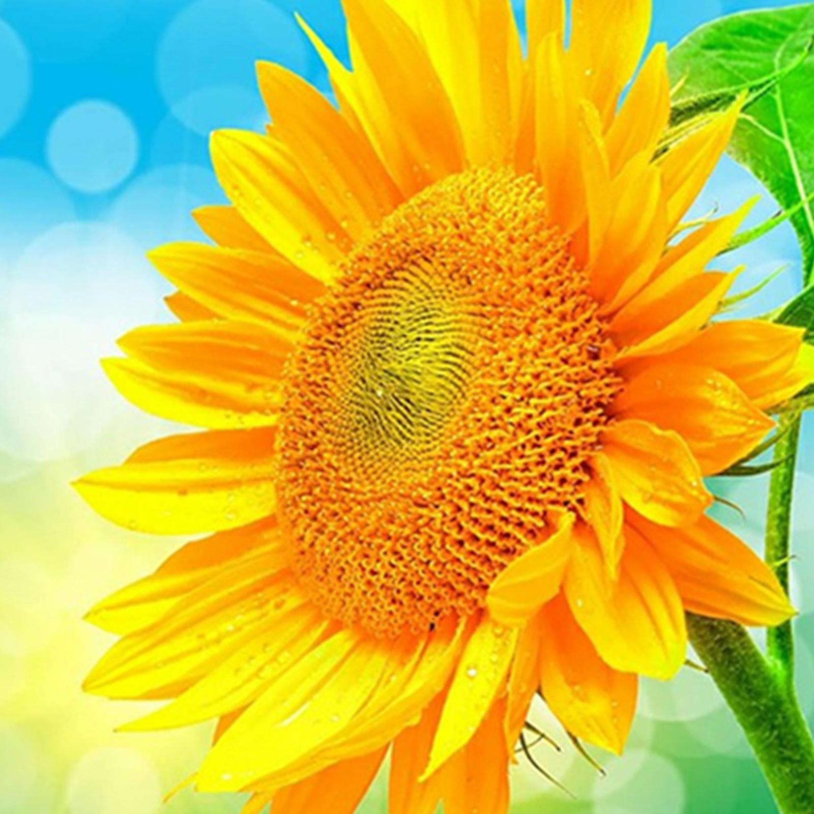 DIY Diamond Painting by Number Kit Full Drill Round Rhinestone Sunflower B