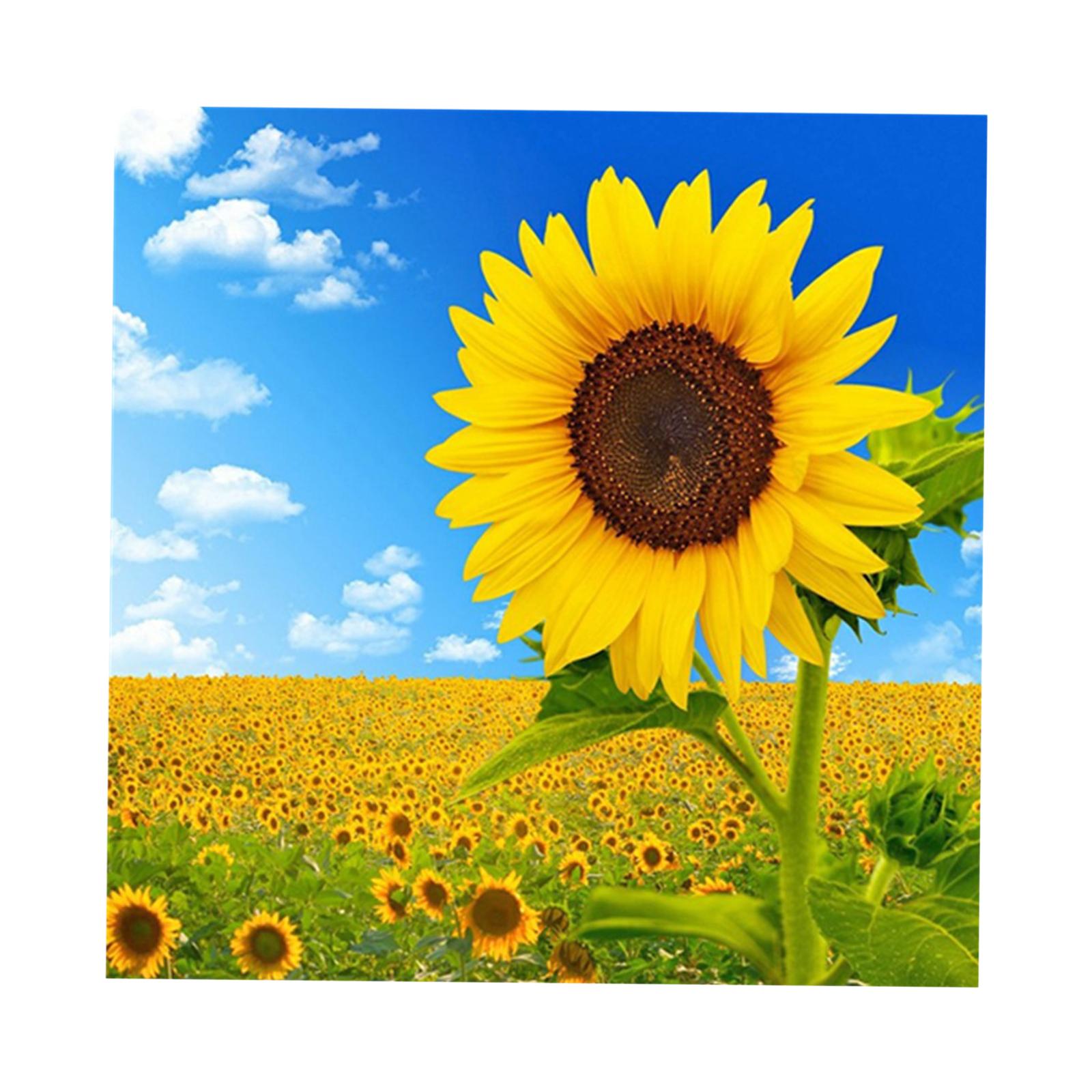 DIY Diamond Painting by Number Kit Full Drill Round Rhinestone Sunflower D