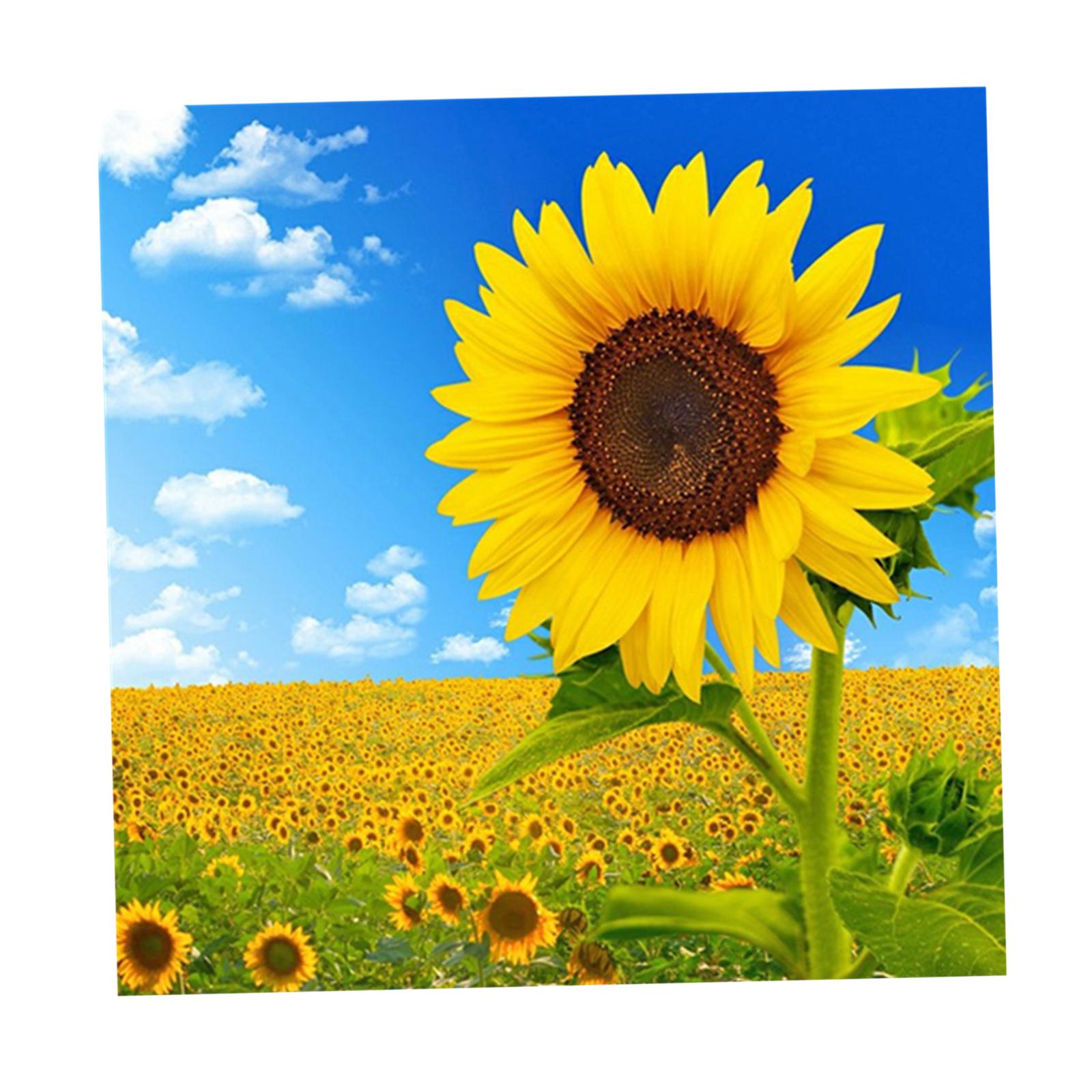 DIY Diamond Painting by Number Kit Full Drill Round Rhinestone Sunflower D