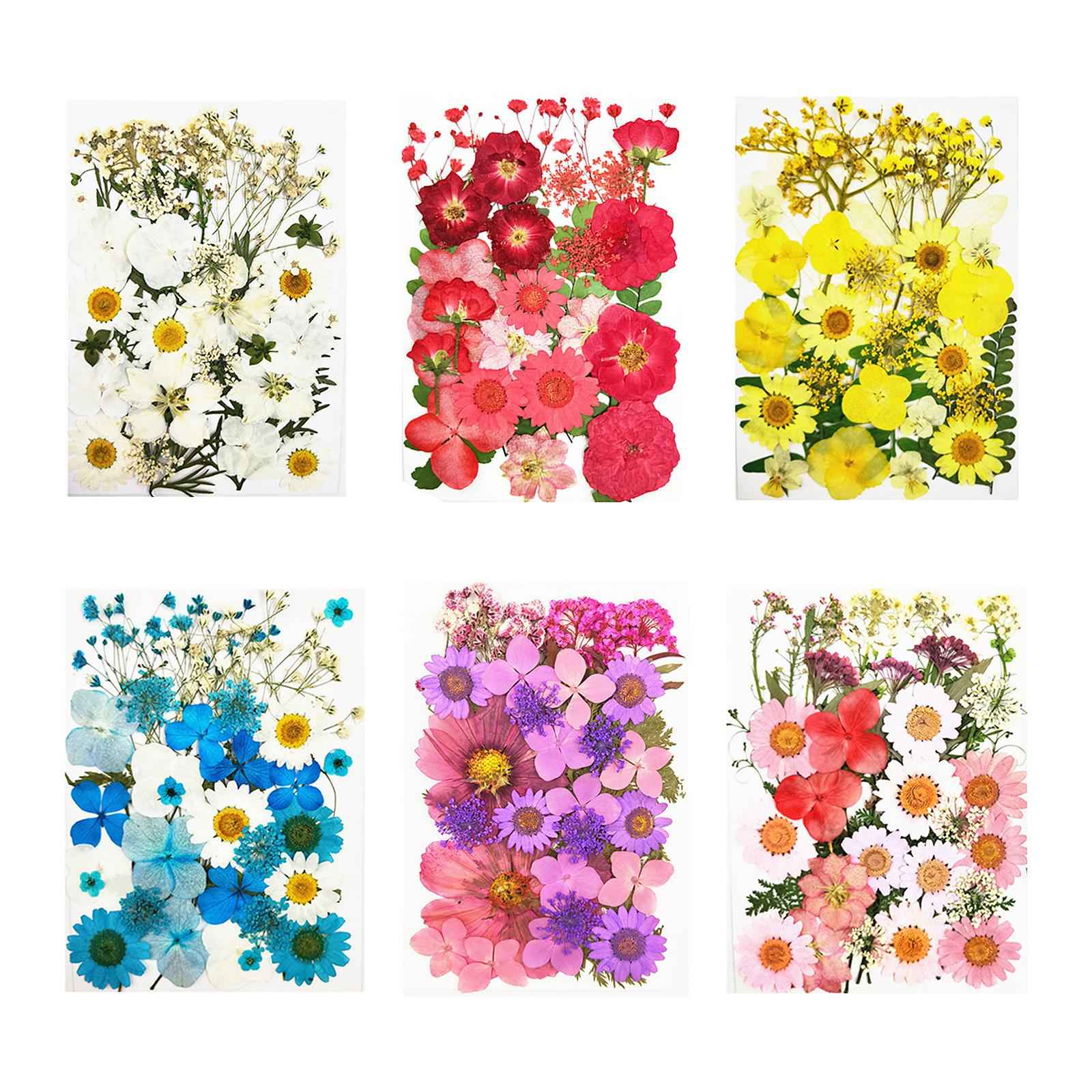 Real Dried Flowers Petals Art Craft Epoxy Resin Jewelery Soap Making White