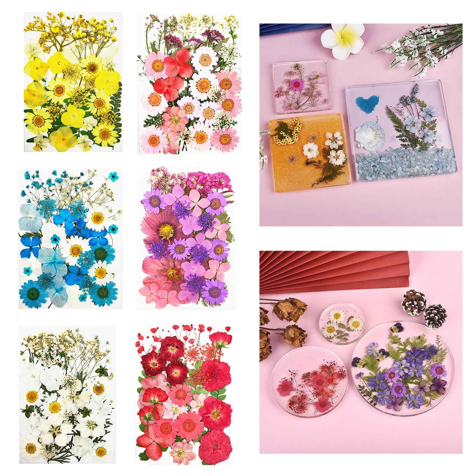 Real Dried Flowers Petals Art Craft Epoxy Resin Jewelery Soap Making White