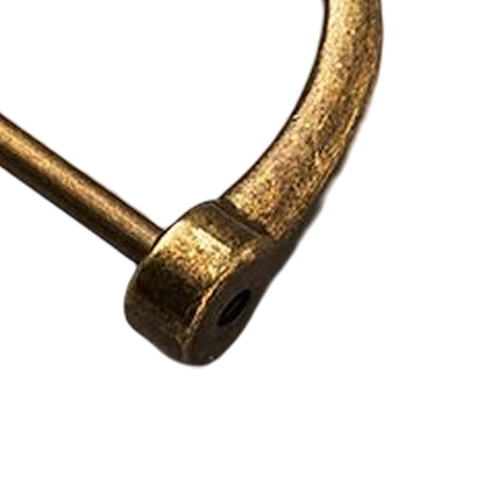2x10 Pieces D Rings Keychain Horseshoe Buckles for DIY Backpacks Replacement Copper Colors