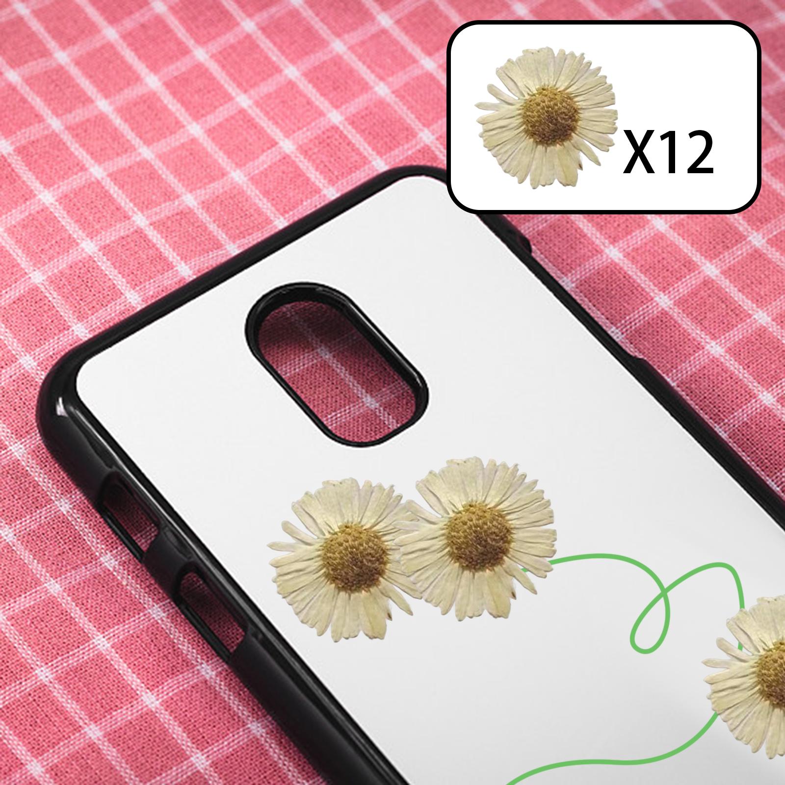 2x12x Dried Pressed Flowers DIY Art Crafts for Bookmarks Envelopes Soap Making White