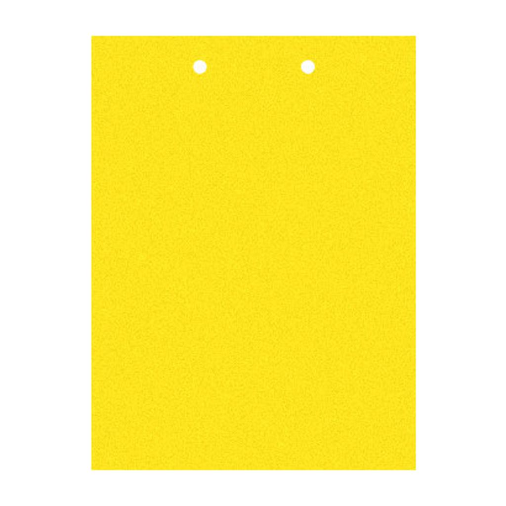 3x 10pcs Sticky Traps for Flying Bug Insect Useful Catchers Traps 1