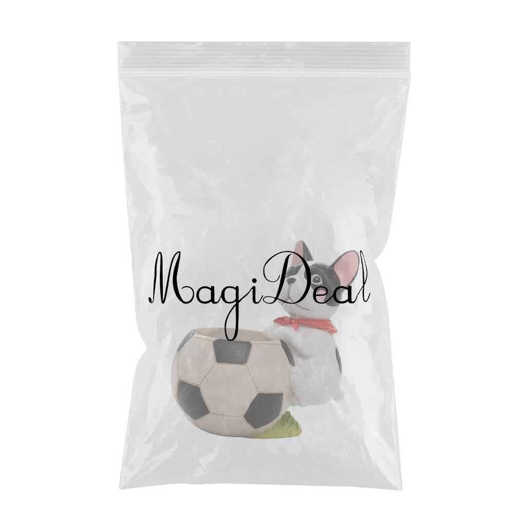 Creative Sports Ball Shape Succulent Plant Pot for Home Decor Soccer