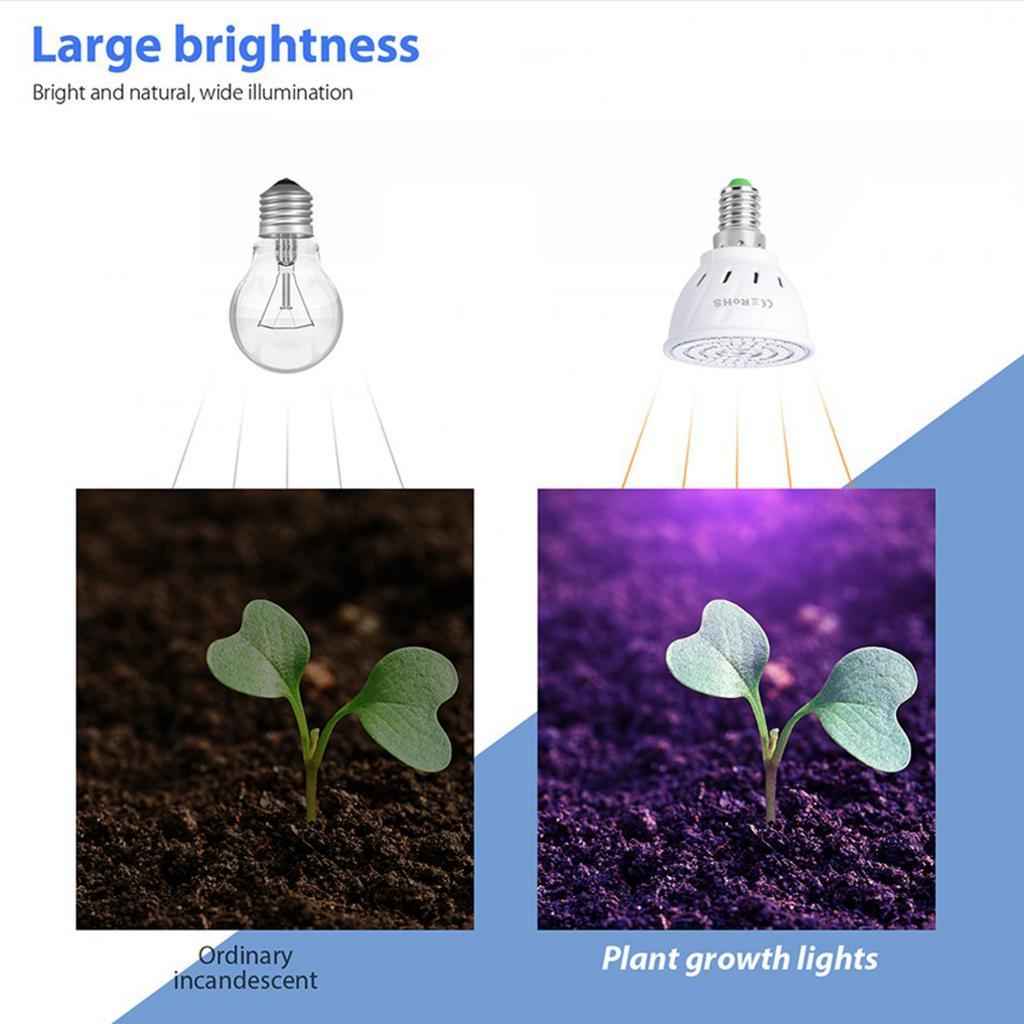 Led Plant Grow Light Bulbs Lamp Full Spectrum Sunlike E14_80Pcs Led