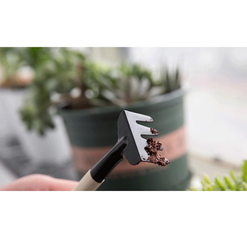 2x3pcs Garden Plant Tools Mini Planting Succulent Garden Tools Wood Handle