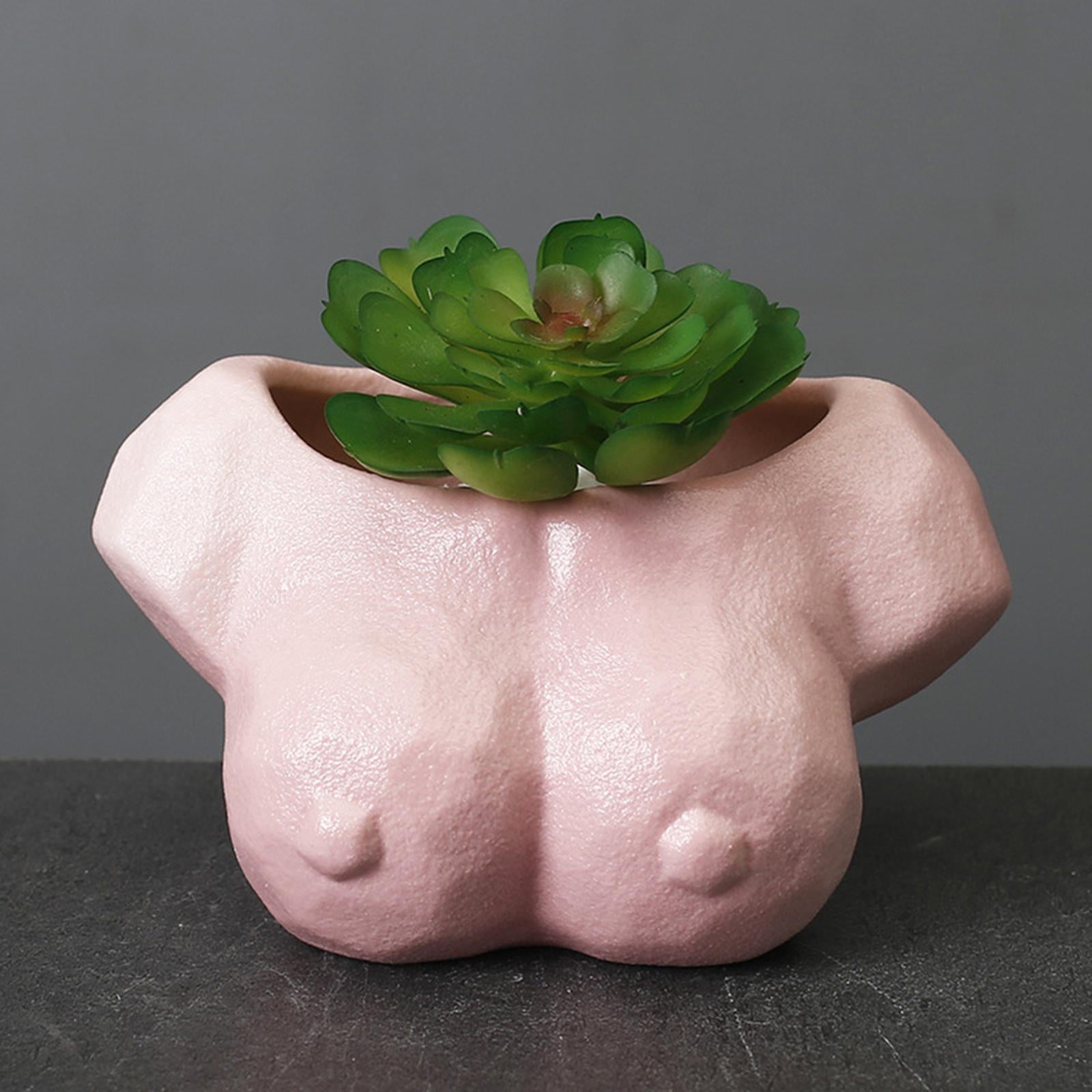Abstract Art Flower Planter Pot Garden Plants Cactus Succulent Pots Pink