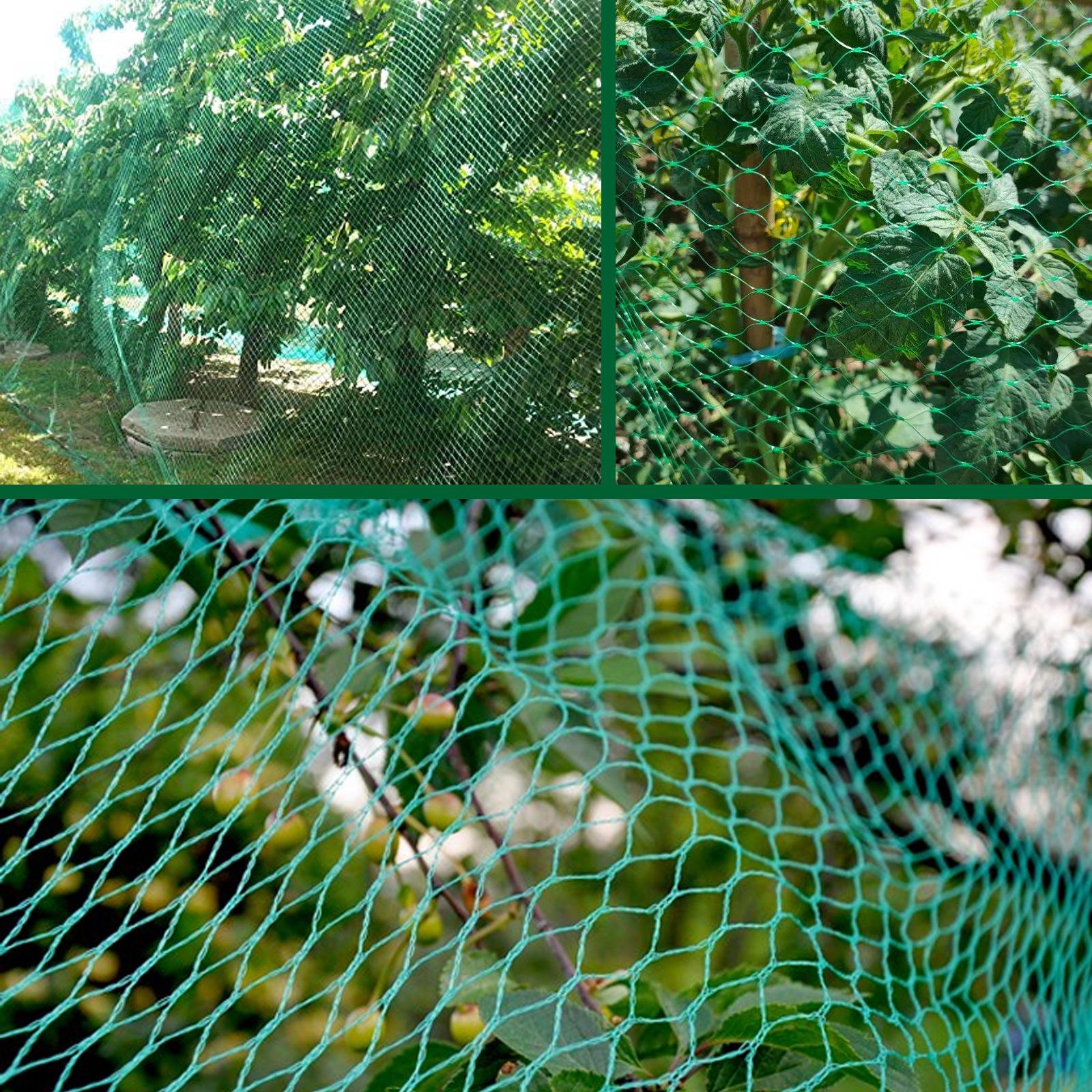 Anti-Bird Netting Plants Fencing Mesh Reusable for Tree Crops Garden Farm Green
