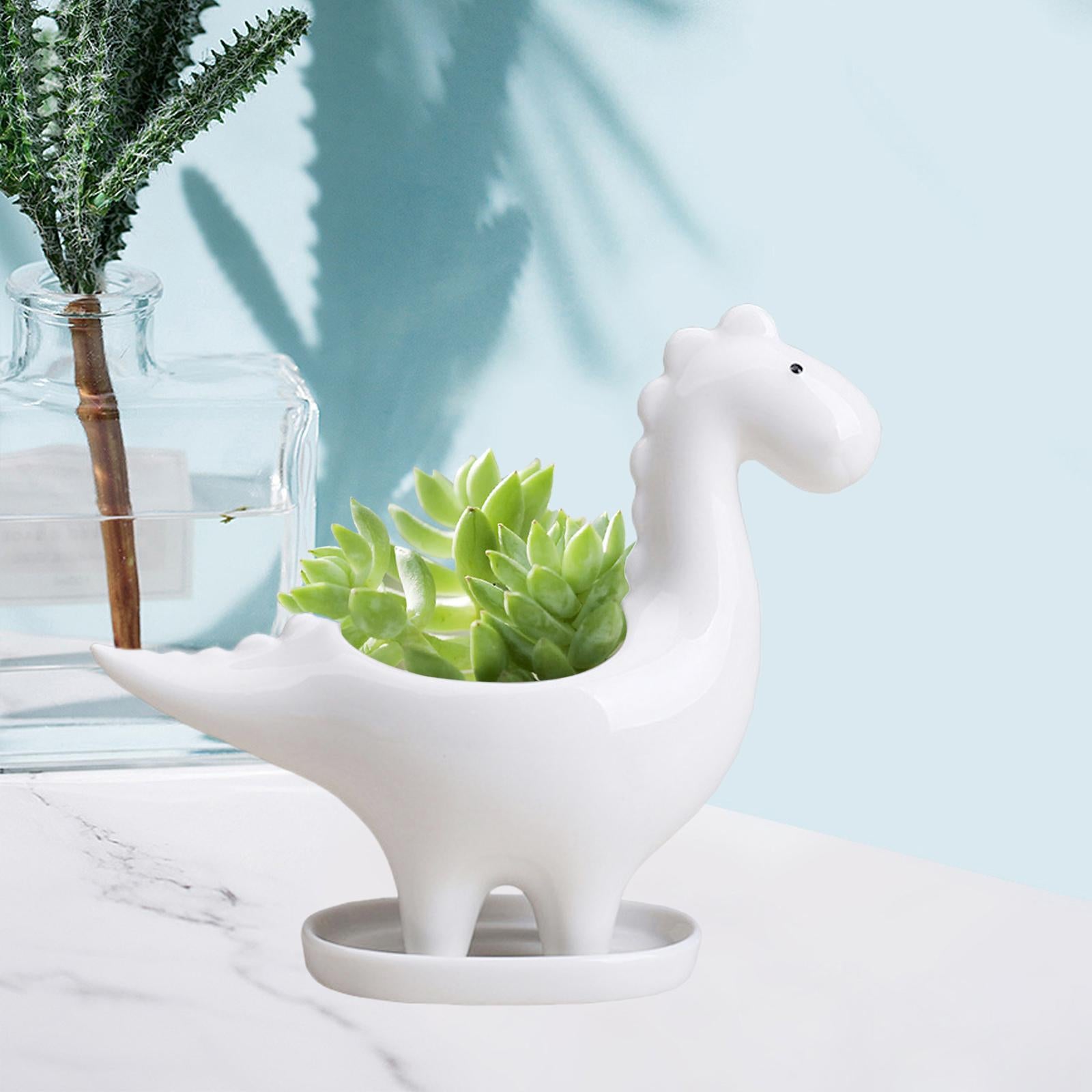 Animal Shape Succulent Pot Herbs Flowerpot Cactus for Indoor Home Restaurant