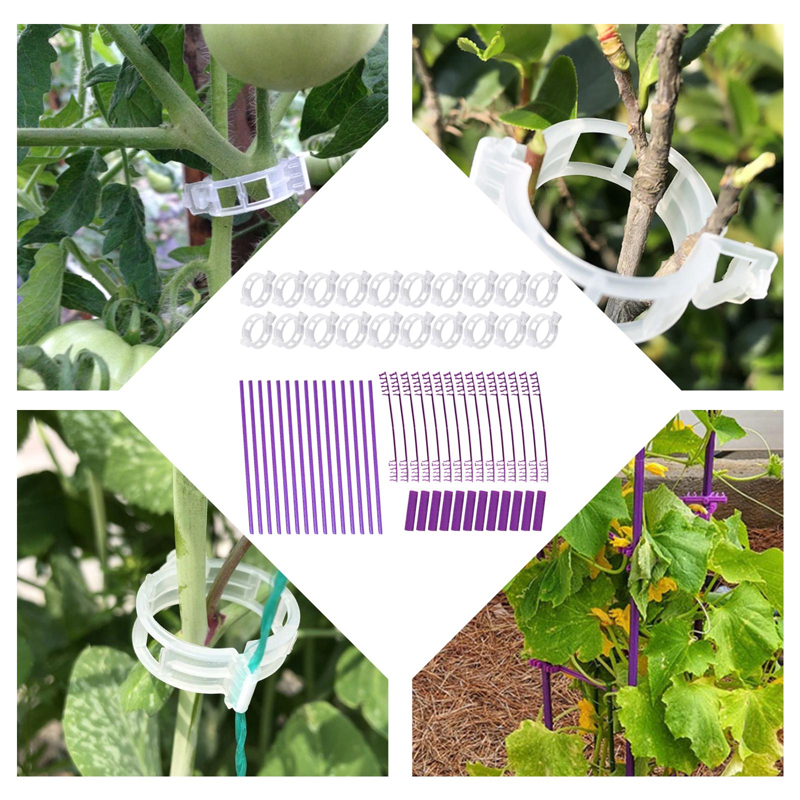 Adjustable Climbing Plant Support Plant Trellis for Outdoor Vegetable Tomato
