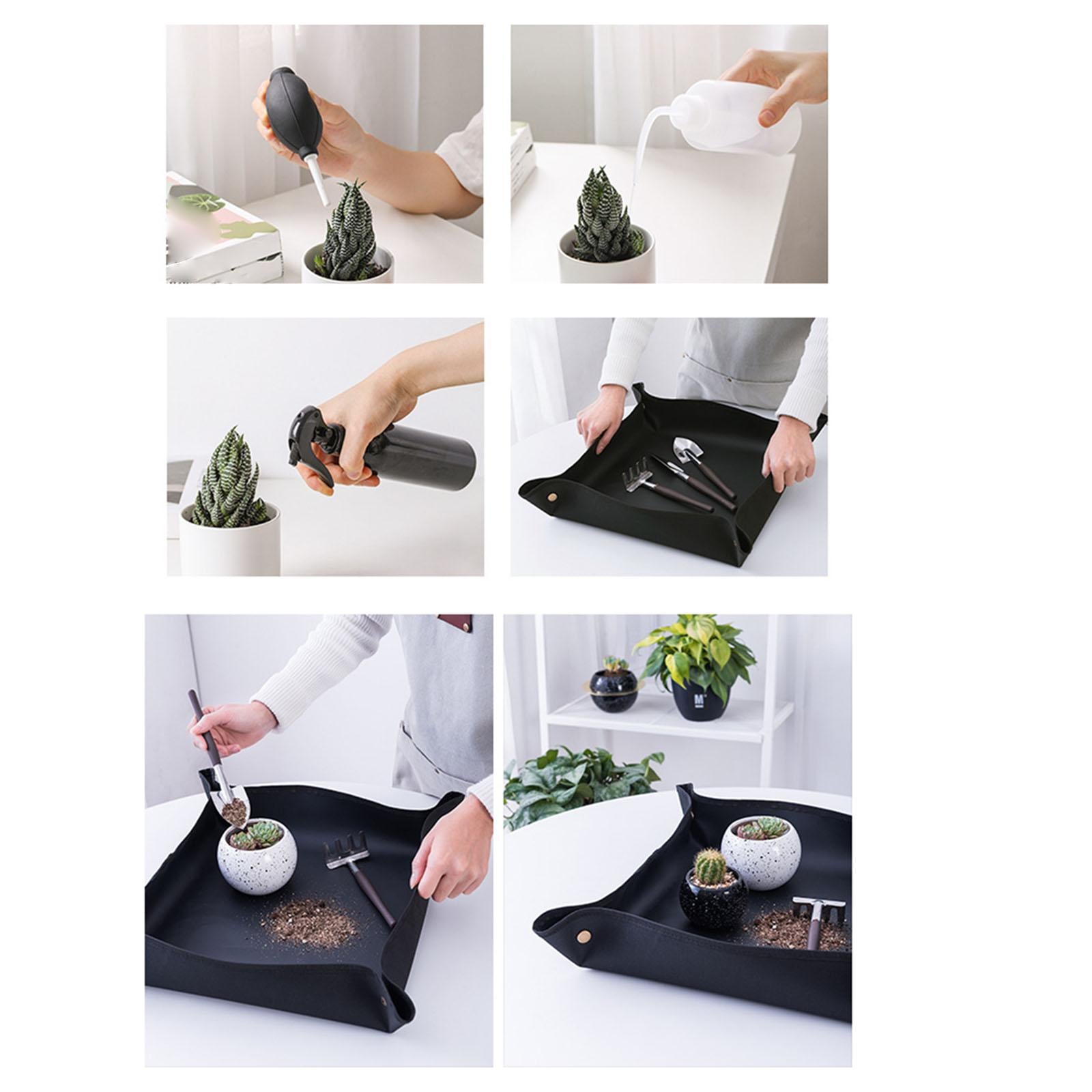 3xMini Garden Succulent Transplanting Tools 5 Pieces Easy to Carry Accessory