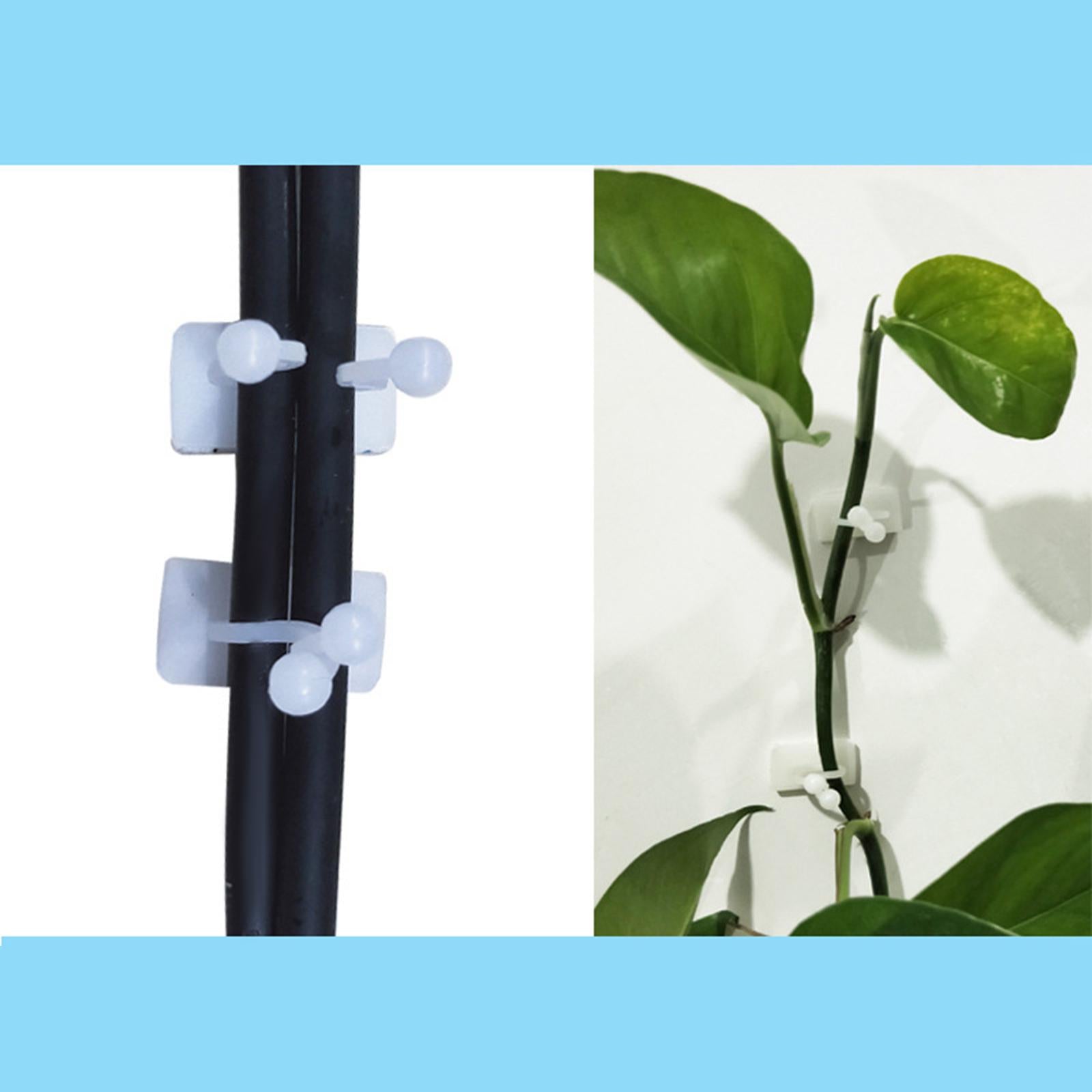 3x10 Pieces Plant Climbing Wall Fixture Clips Self Adhesive for Decorations White L