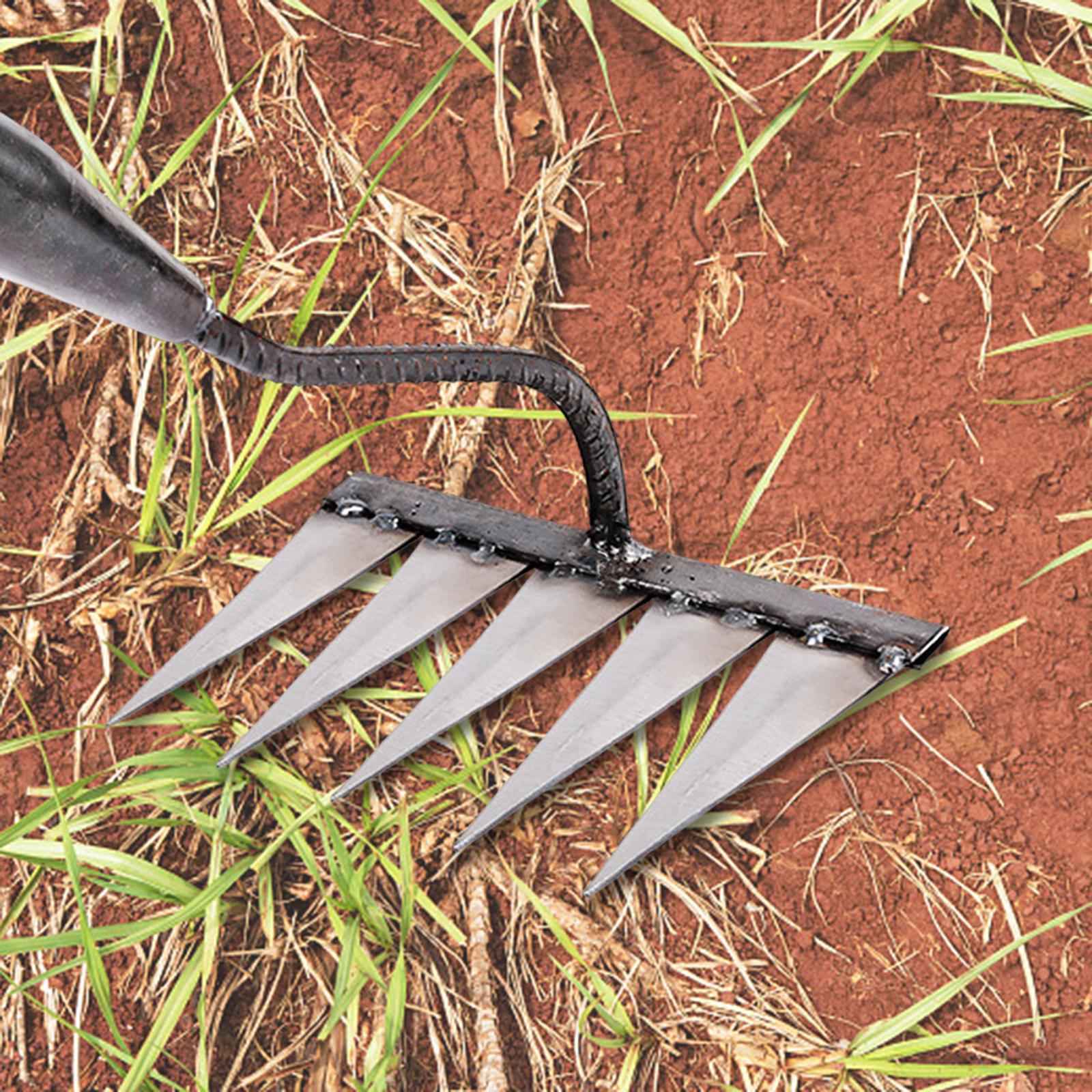Garden Rake Hardened Strong Sharp Tines Rake for Gardening Mulching Backyard with 5 Tines