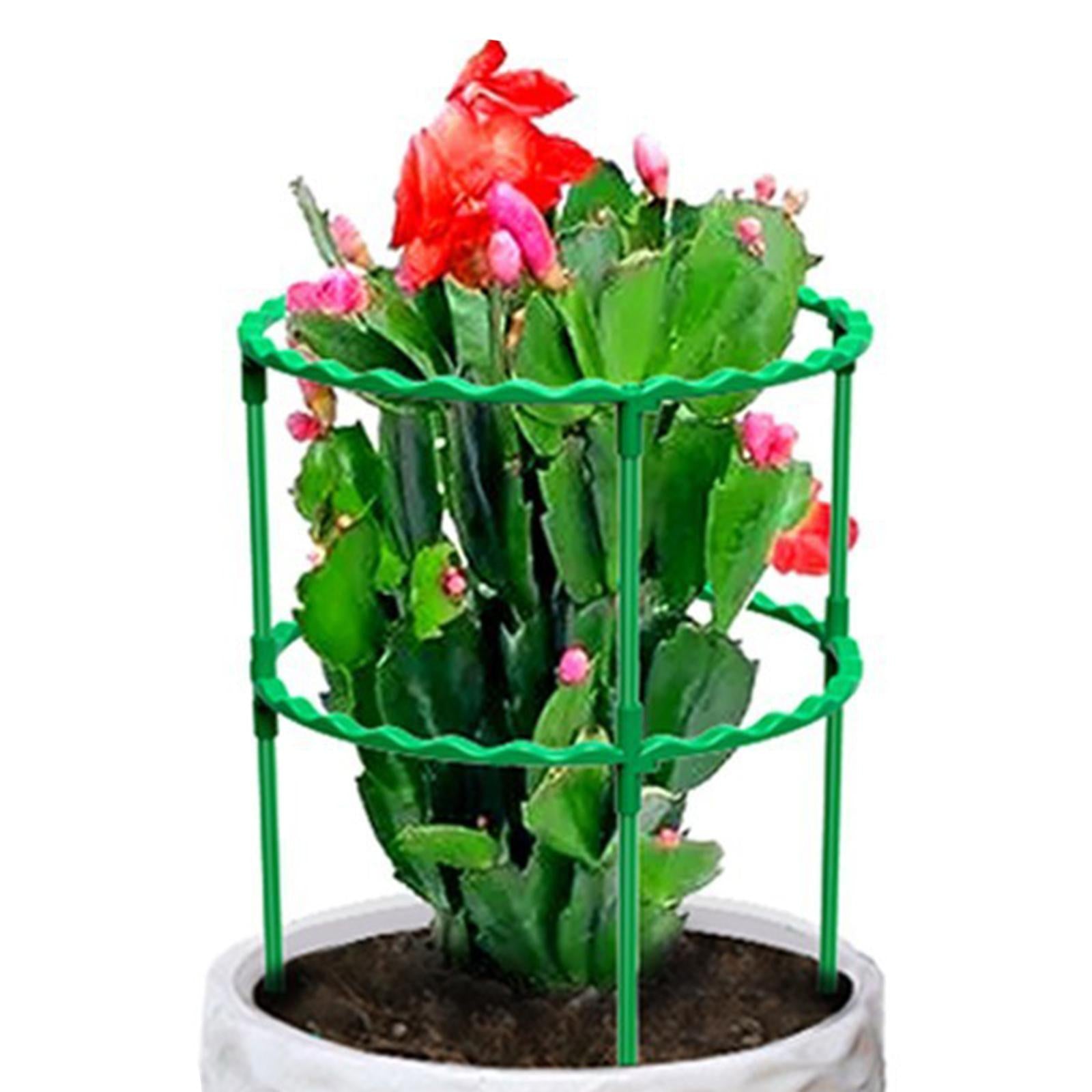 3xTomato Growing Cage Garden Plant Support Stakes for Potted Plants Vines Pots Double Layer 40cm