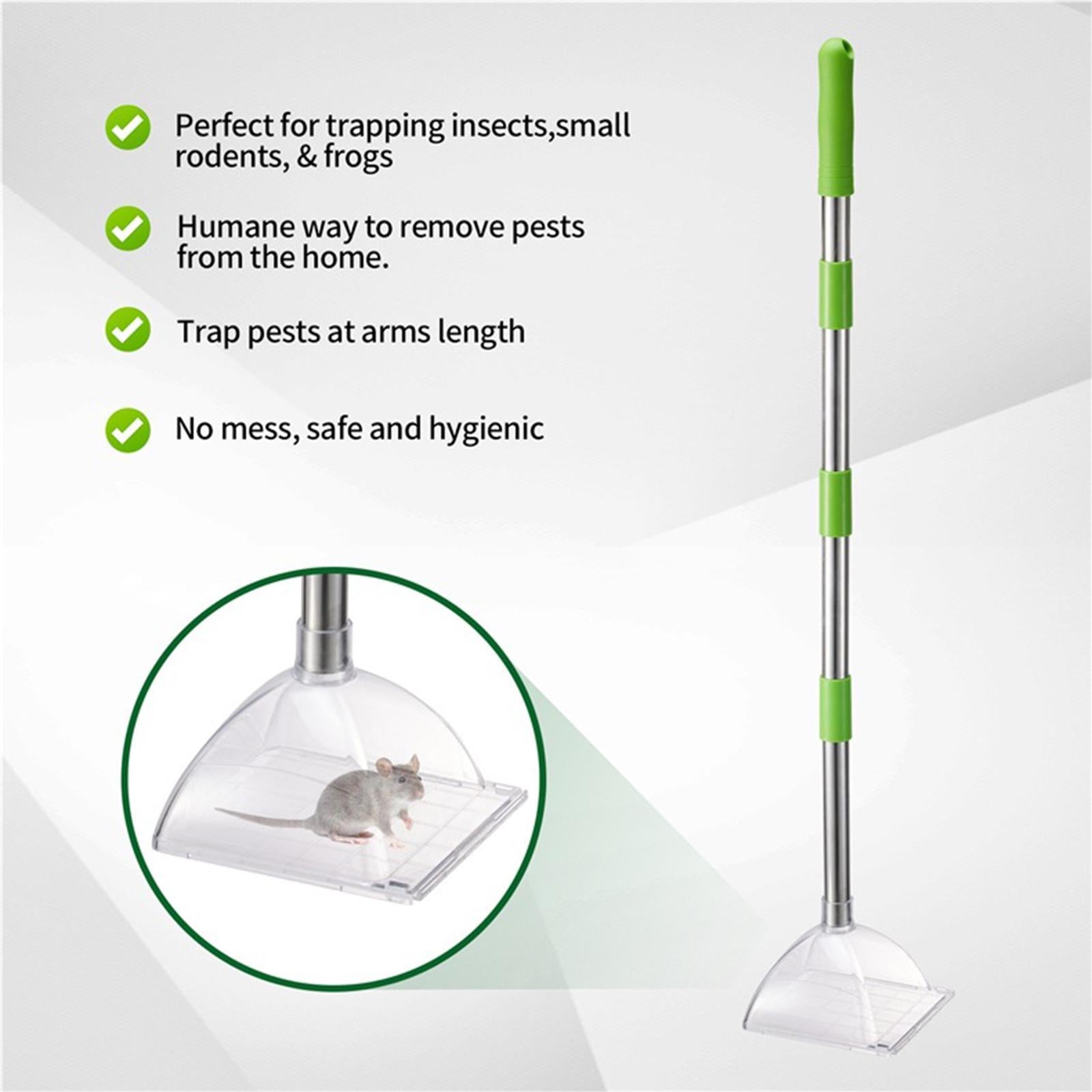 Bug Viewer Exploration Tool Viewing Catcher for Crickets Cockroaches Beetles