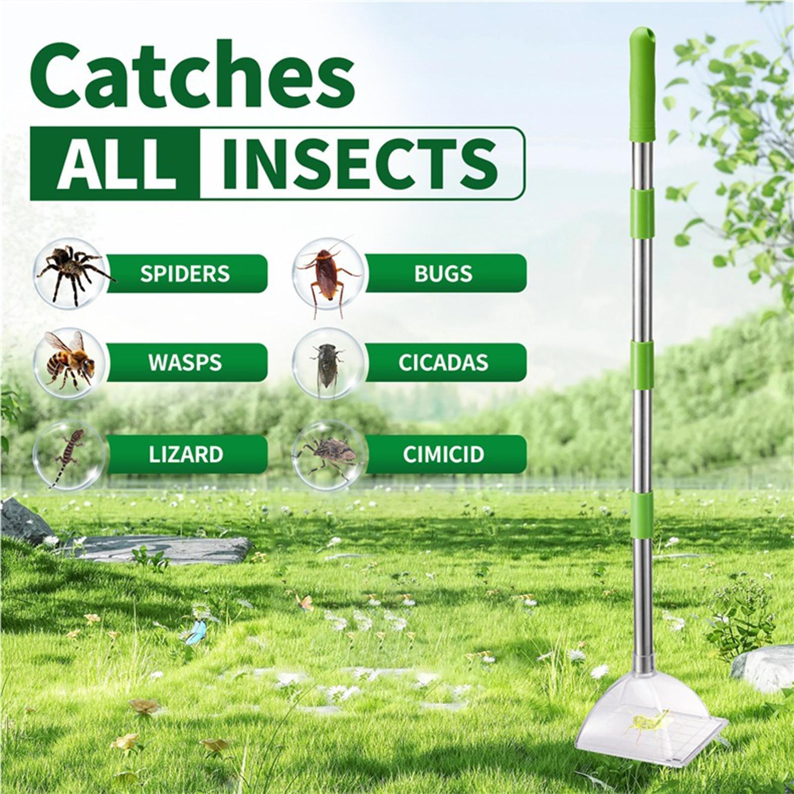 Bug Viewer Exploration Tool Viewing Catcher for Crickets Cockroaches Beetles