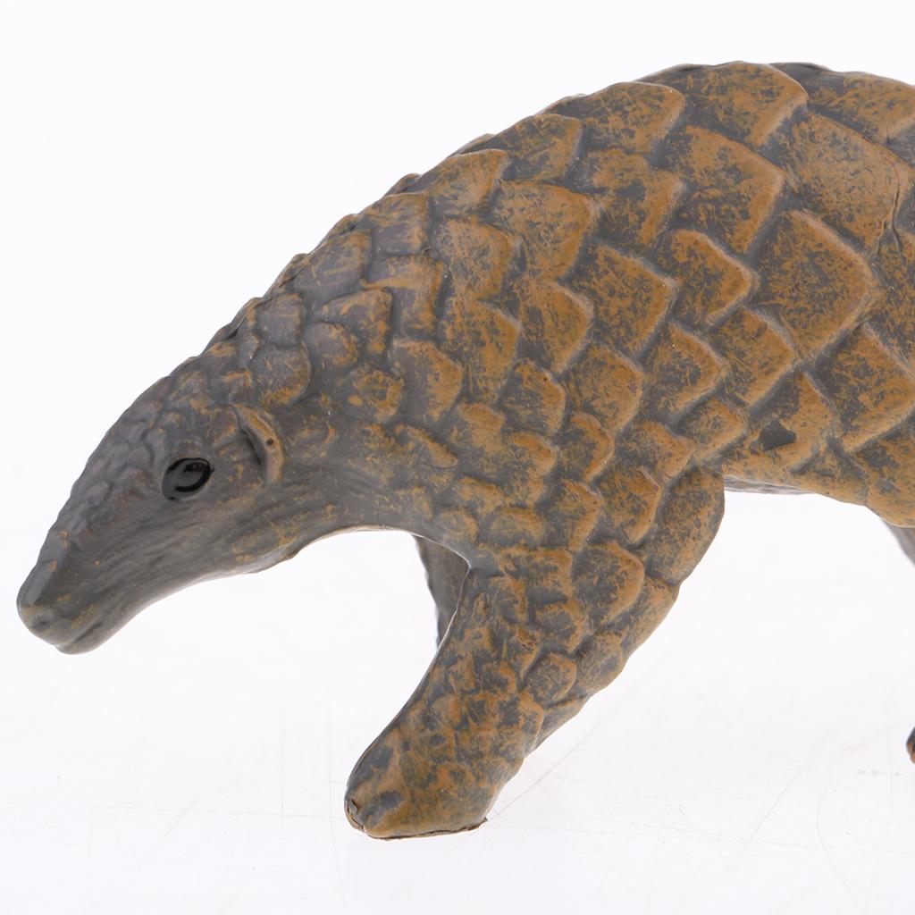 2xSimulation Manis Pentadactyla Figure Animal Model Home Ornament Kids Toy