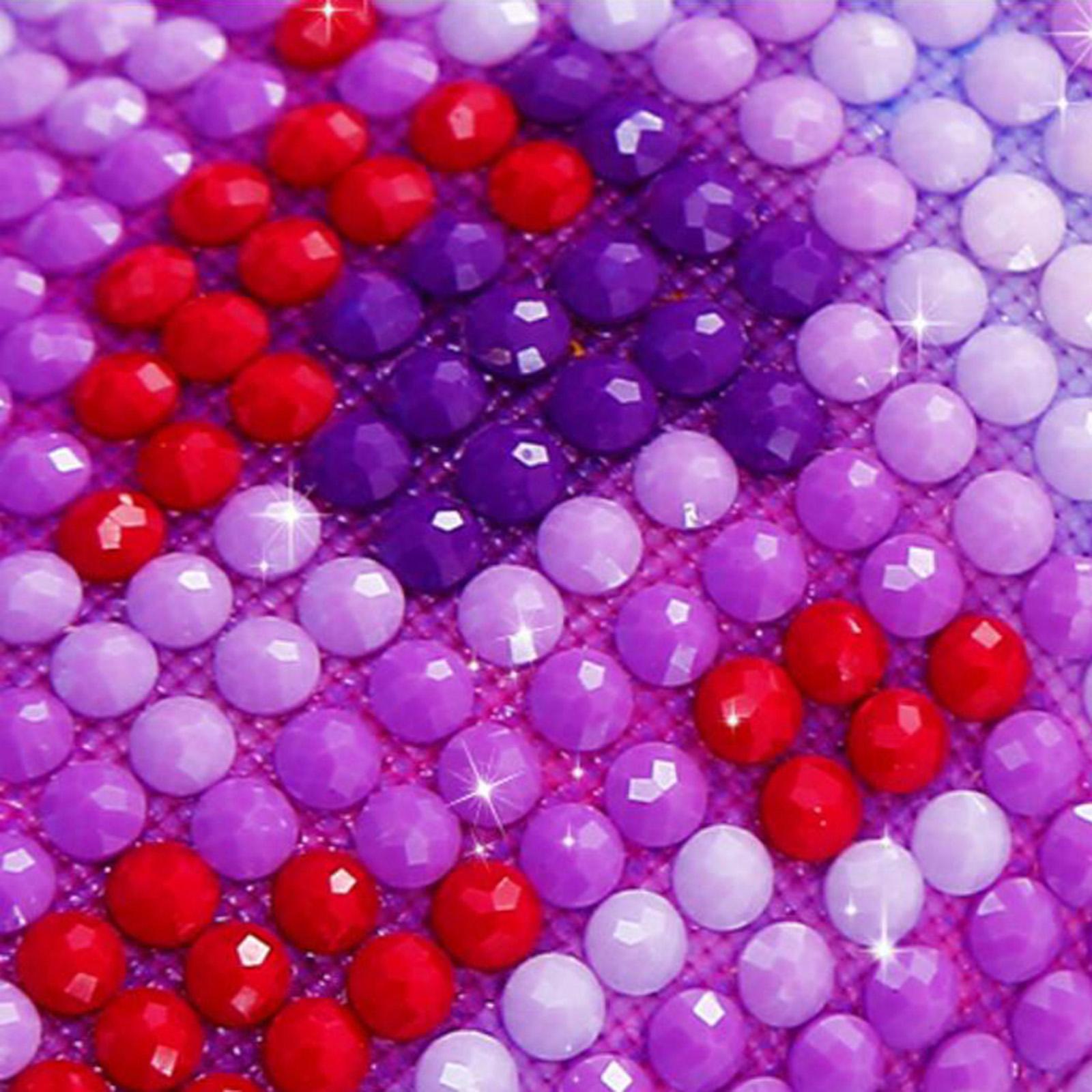 Diamond Painting Cross Stitch No Frame Pattern Supply Art Birthday Gift 40x50cm