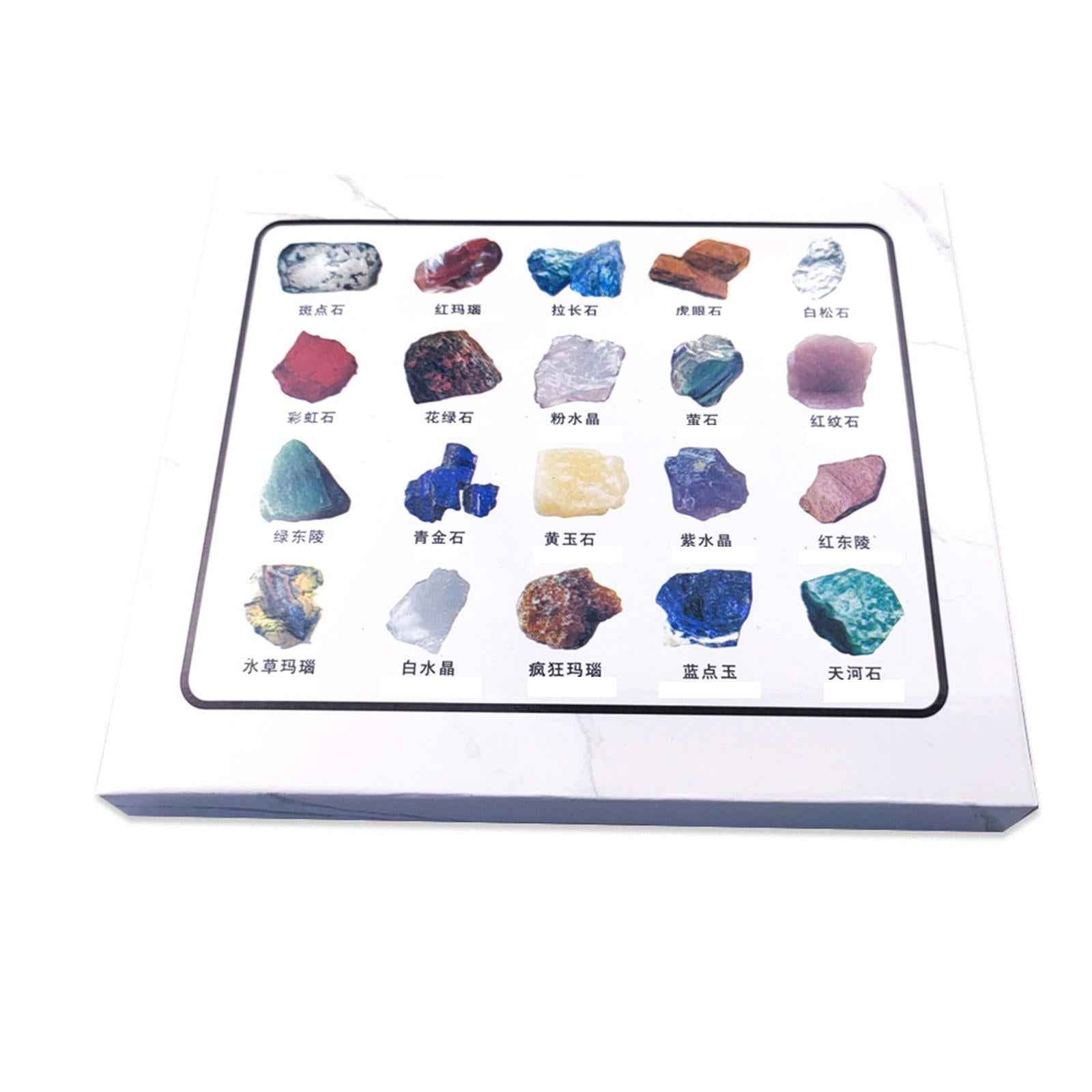 20Pcs Rock and Mineral & Collection Box Gemstone for Kids Birthday Present