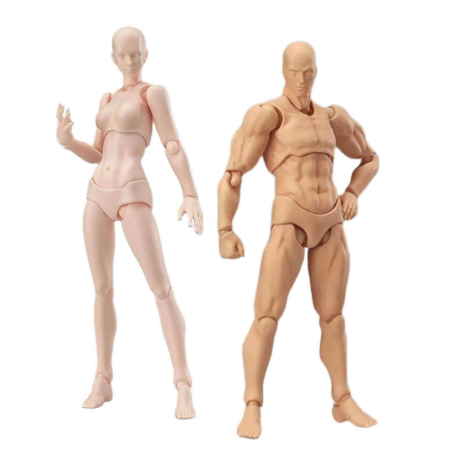 Drawing Action Figure Model DIY Doll Joint Movable for Sketching Male