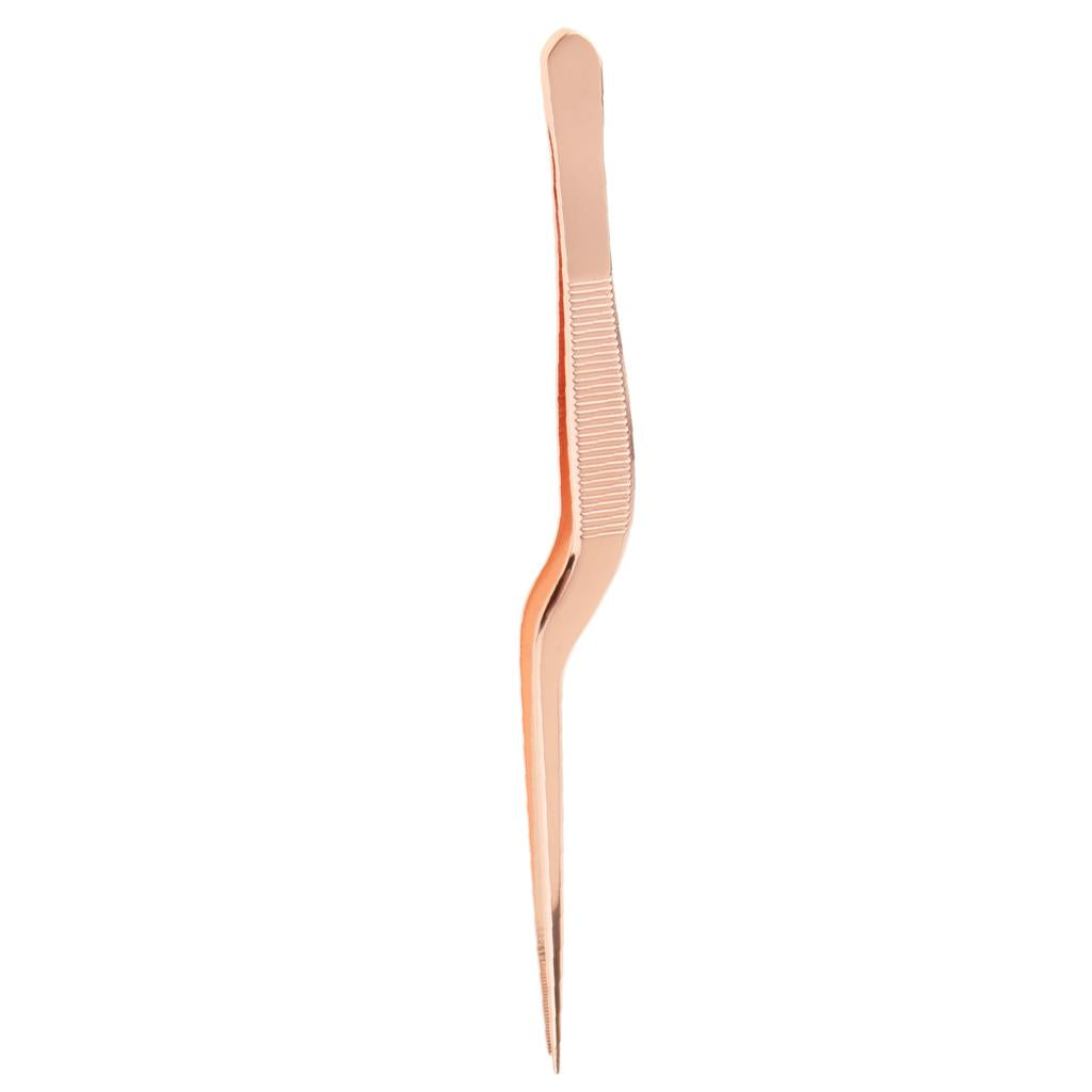 2xEar Tweezers Remover Stainless Steel Earwax Forcep Cleaner Ear Wax Tools